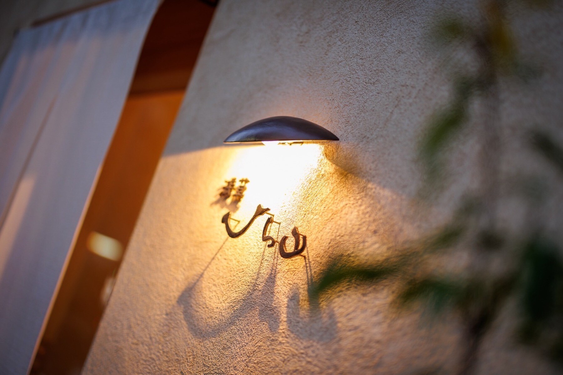 Asakusa Hirayama's image 4