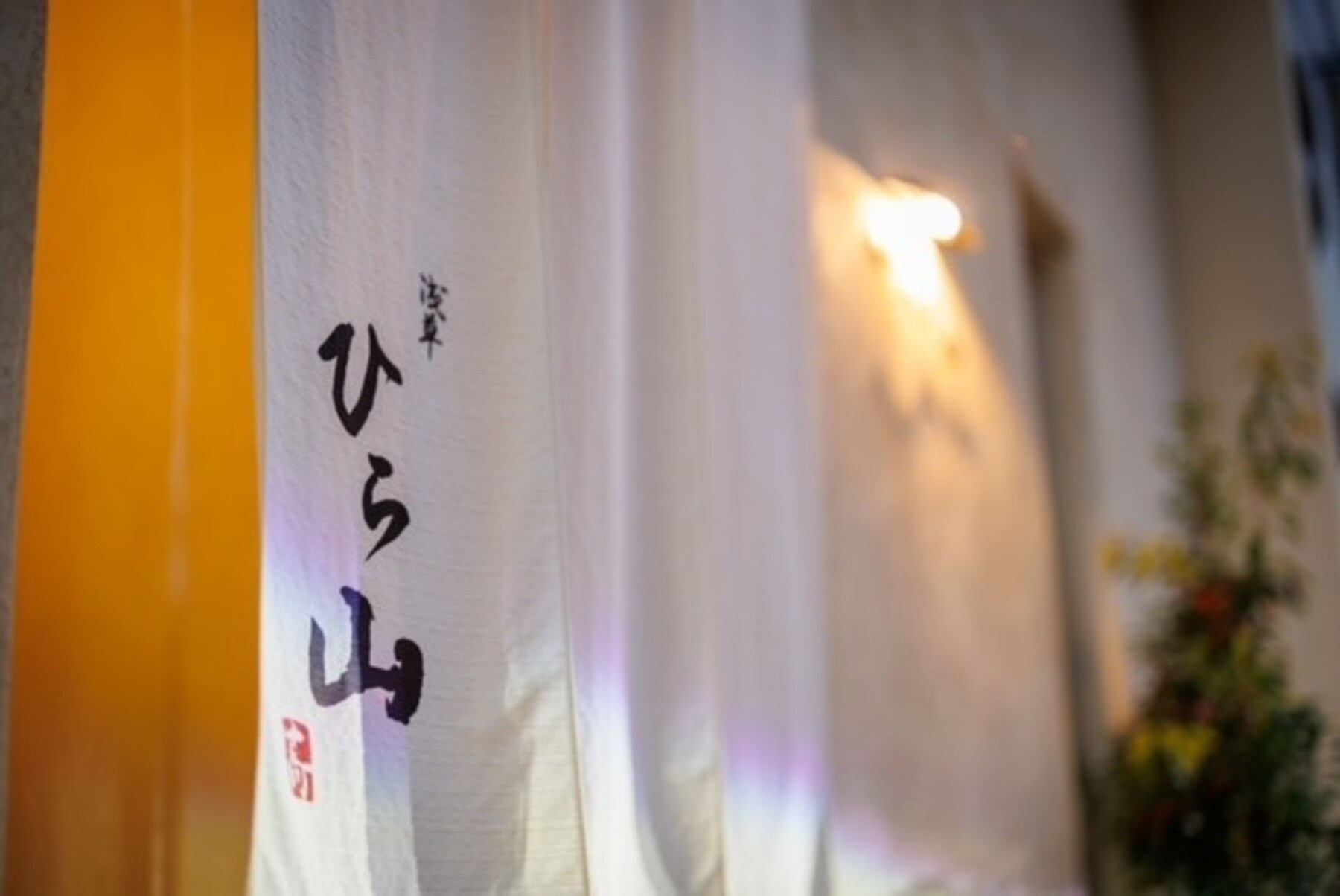 Asakusa Hirayama's image 3