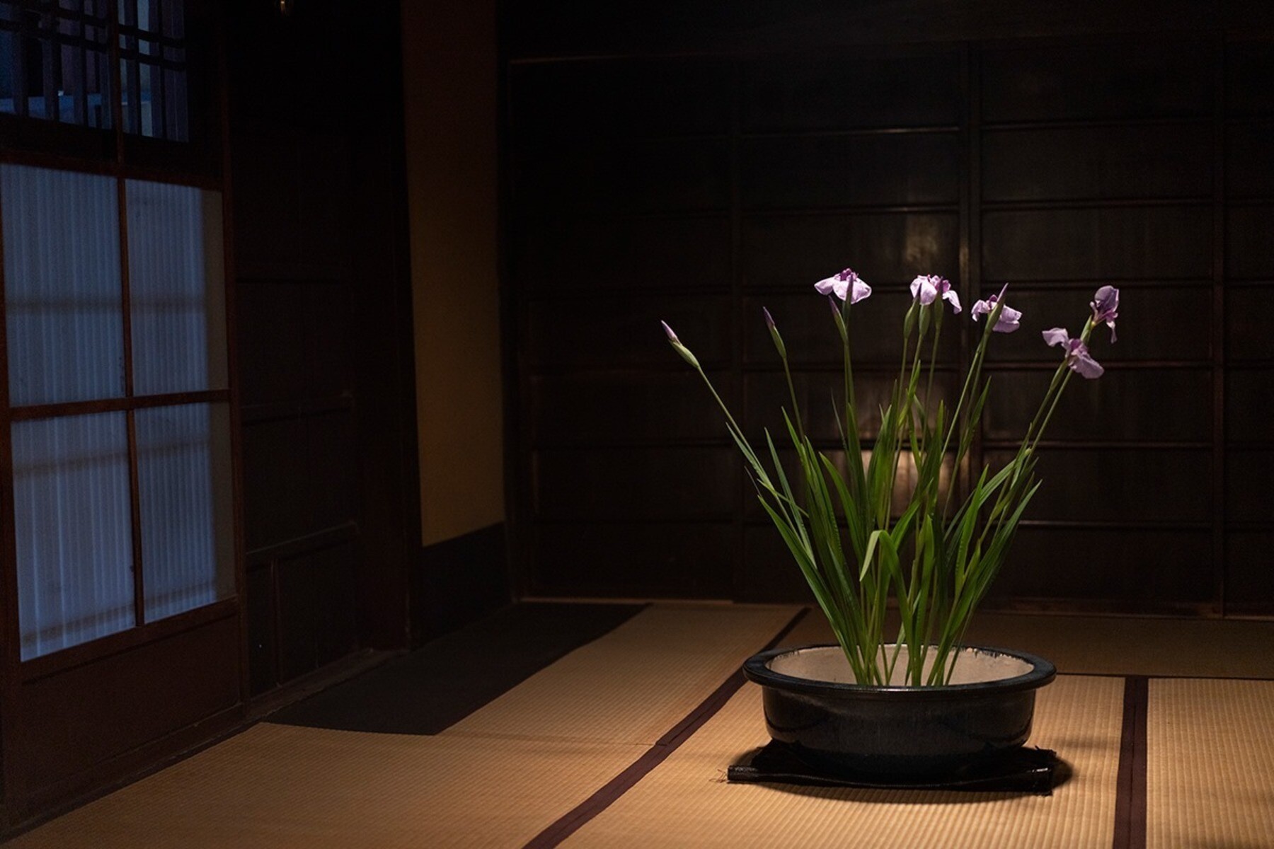 Takagamine Muroi's image 15