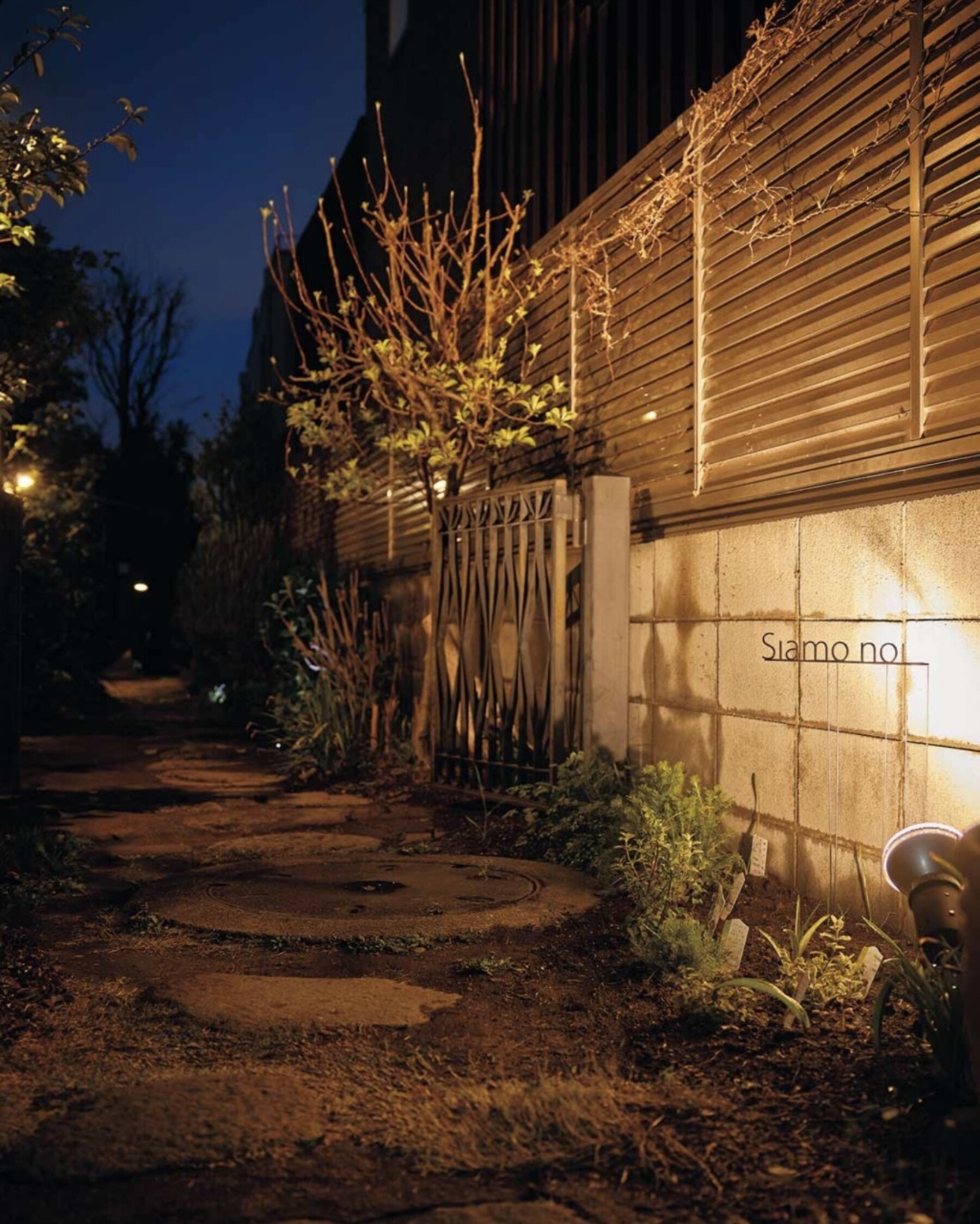 Siamo noi's image 13