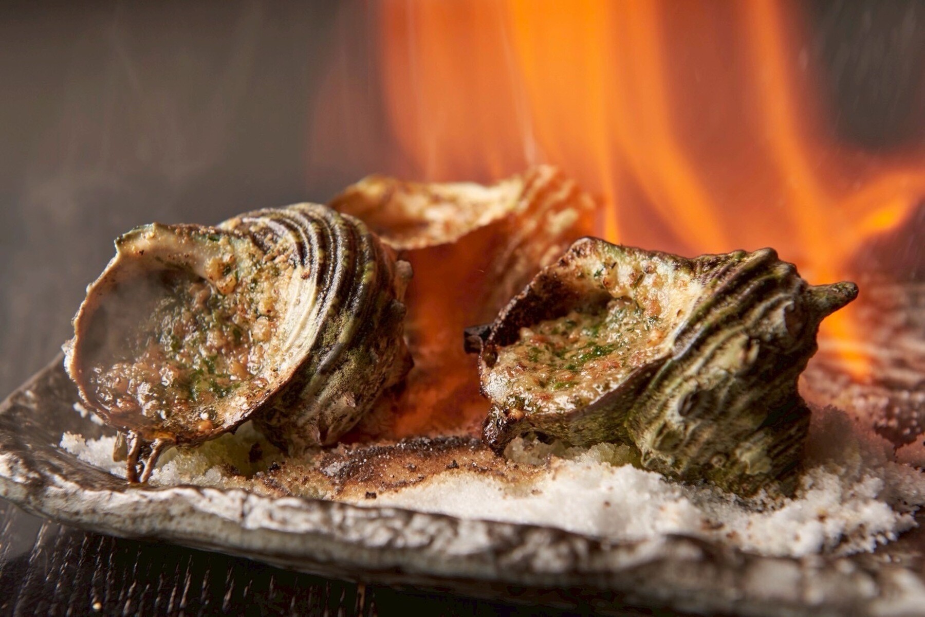 NINJA TOKYO's image 9