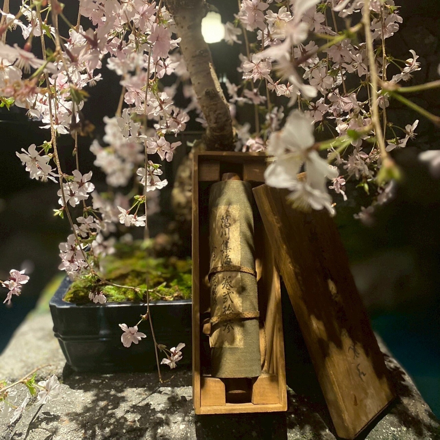 NINJA TOKYO's image 10