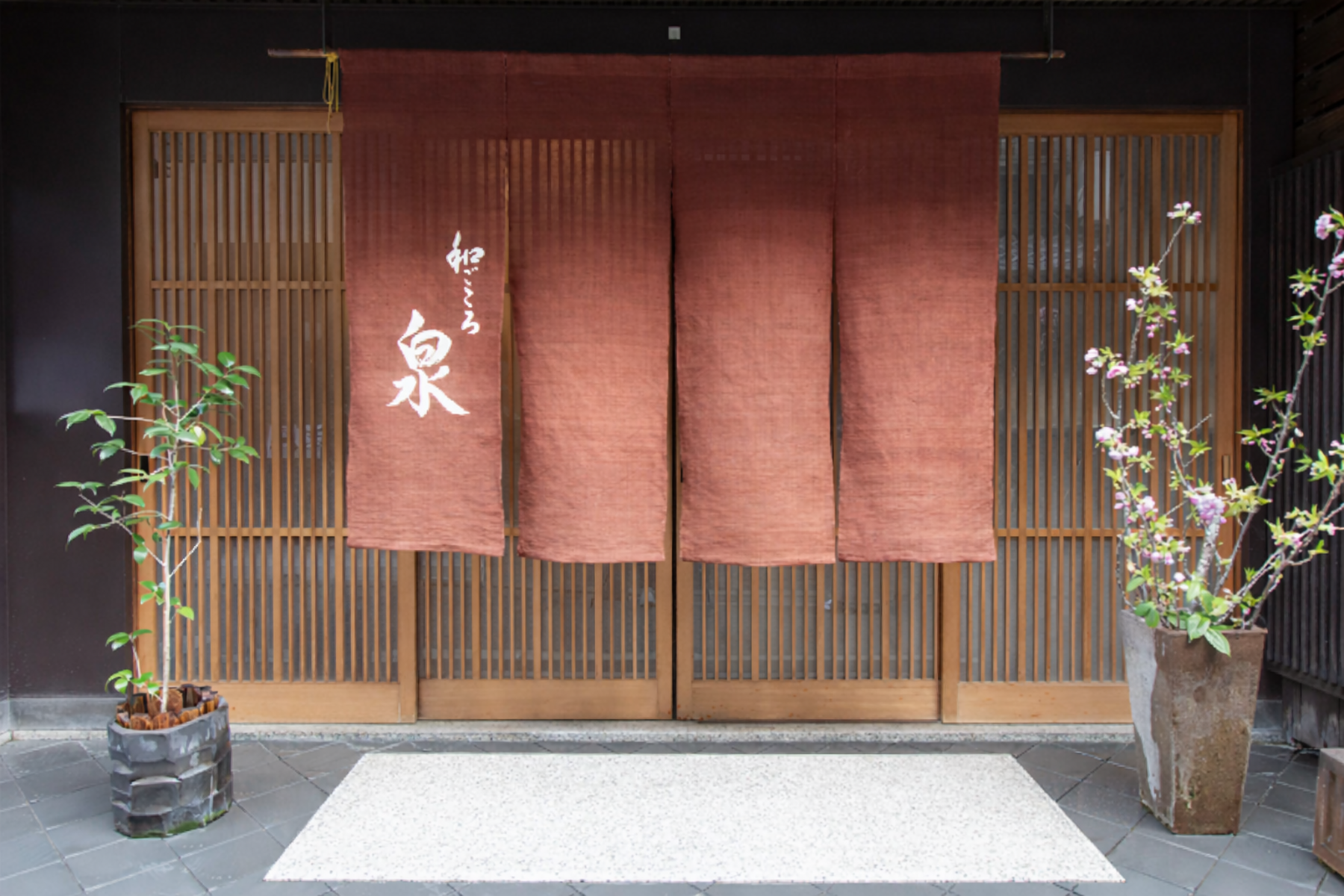 Wagokoro Izumi's image 2