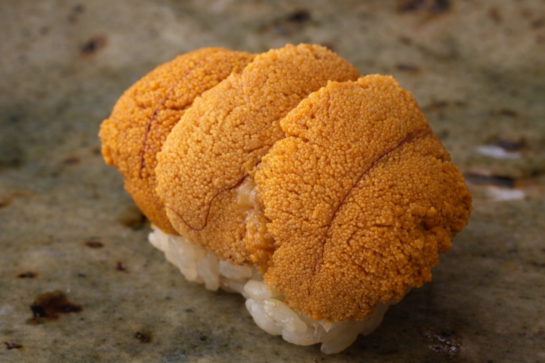 Sushi Matsumoto's image 2