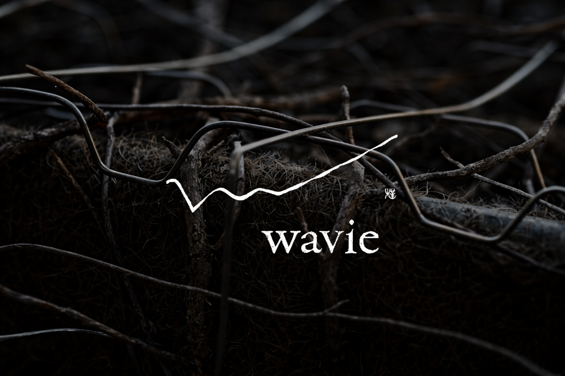 wavie's image 1