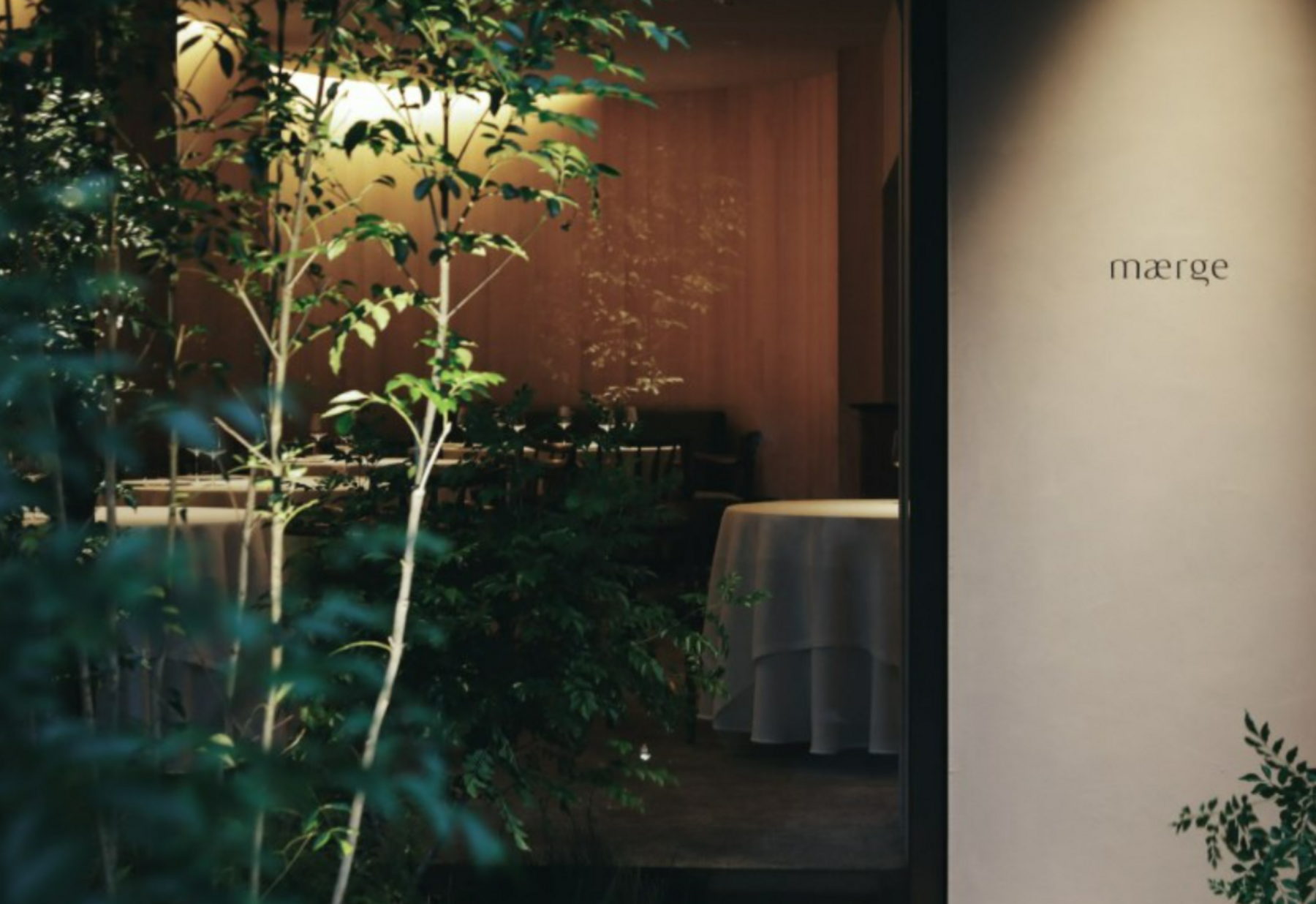 mærge's image 2