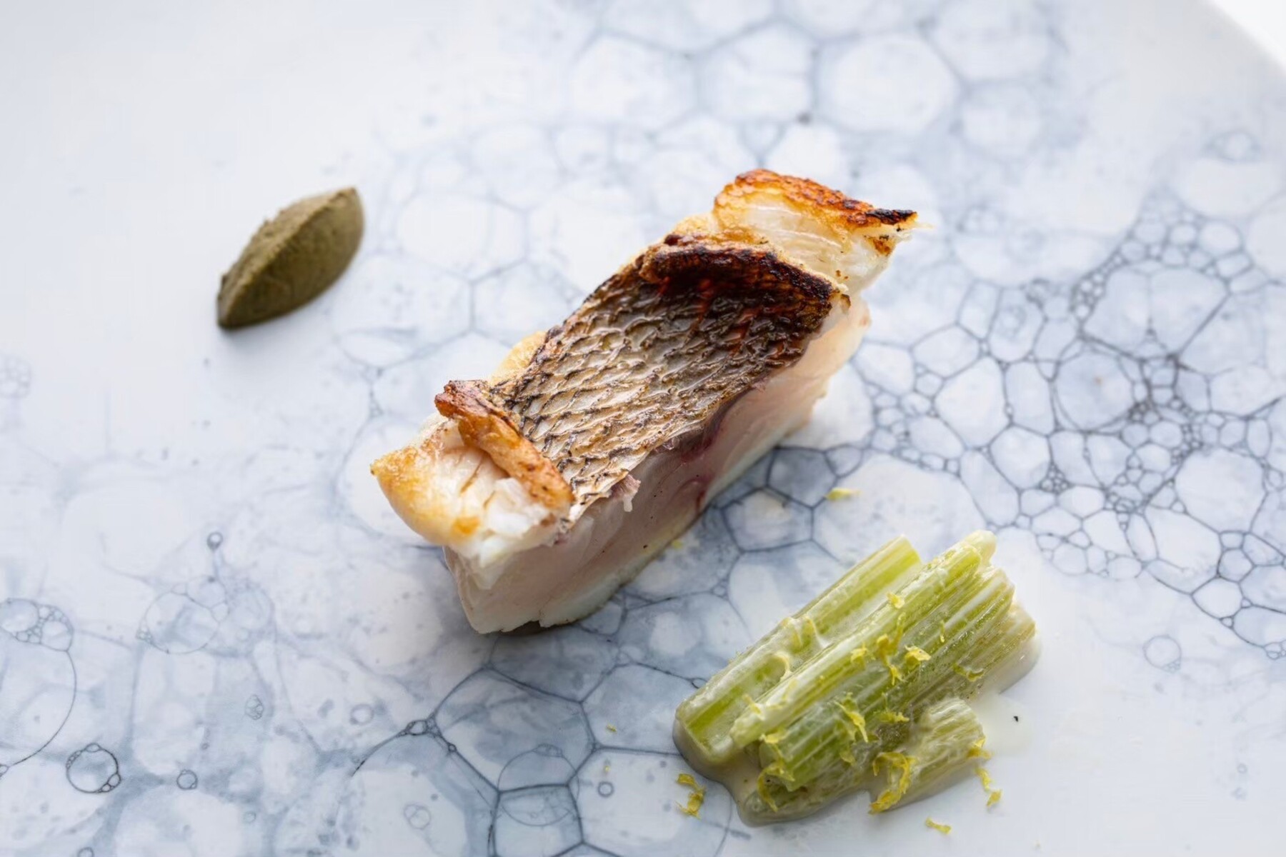 Nishideria's image 11