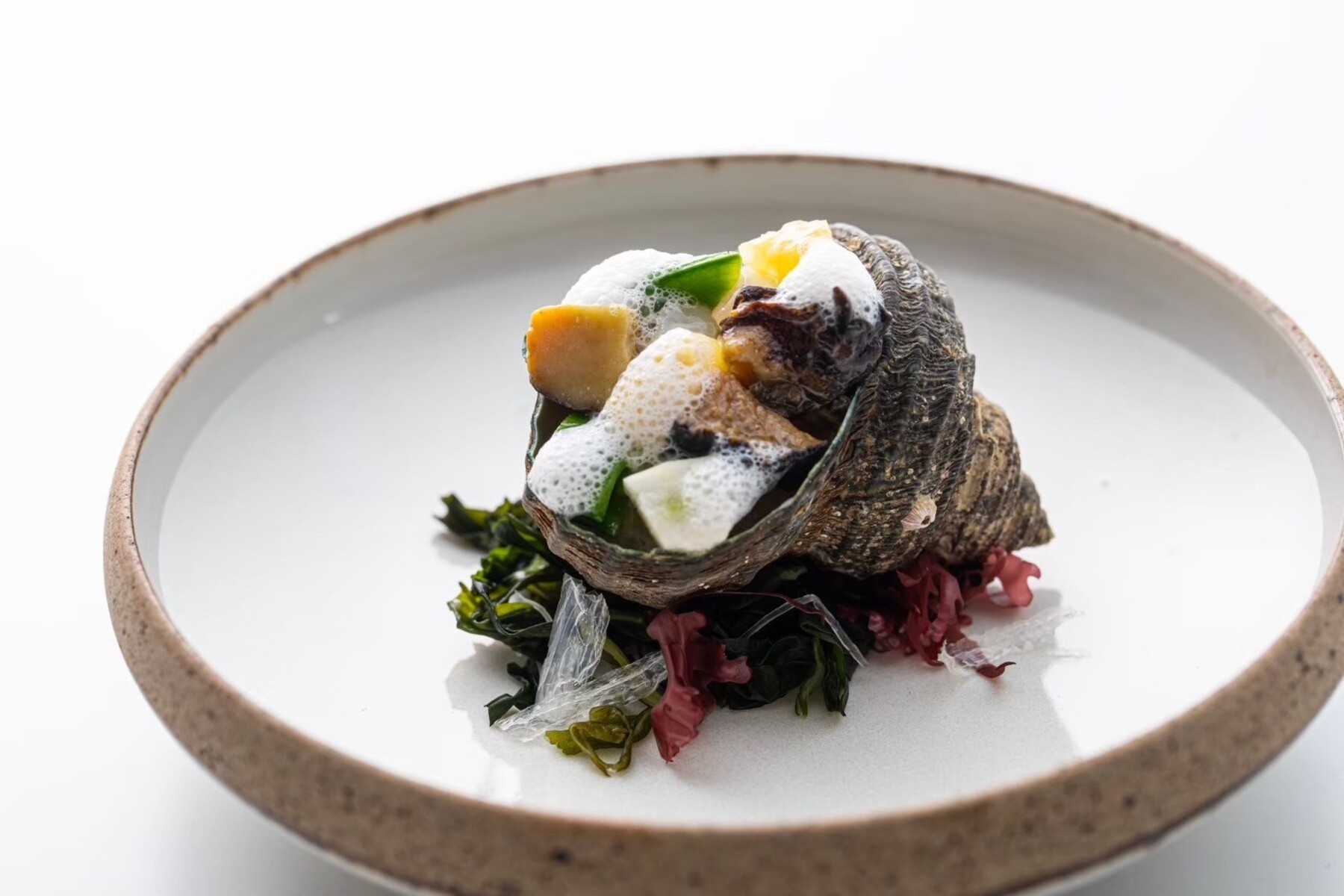 Nishideria's image 12