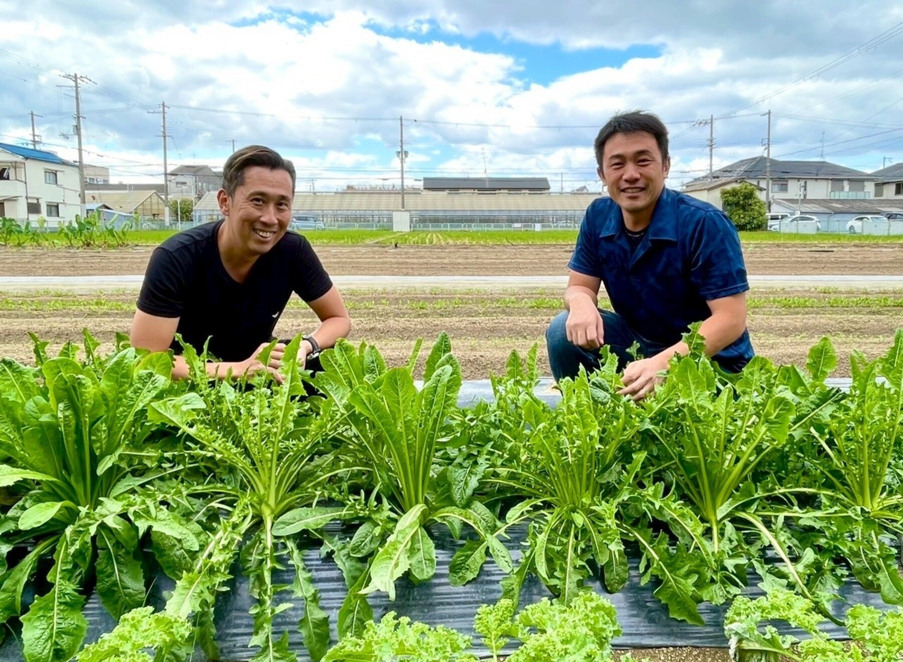 Nishideria's image 3