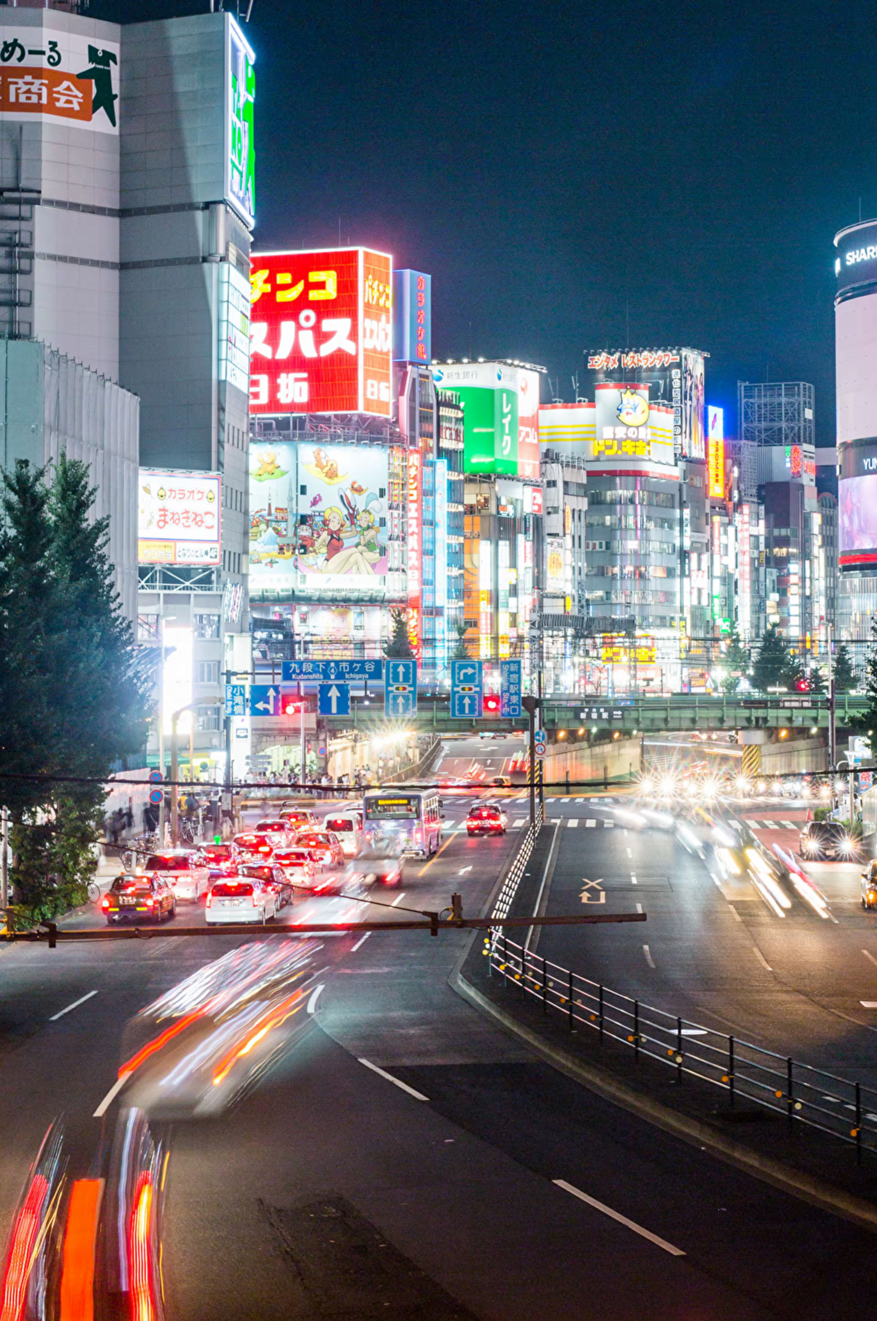 Shinjuku Izakaya Food Tour 【Cultural Experience】's image 4