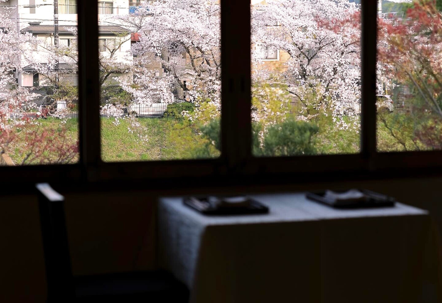 Shimogamo Saryo's image 5