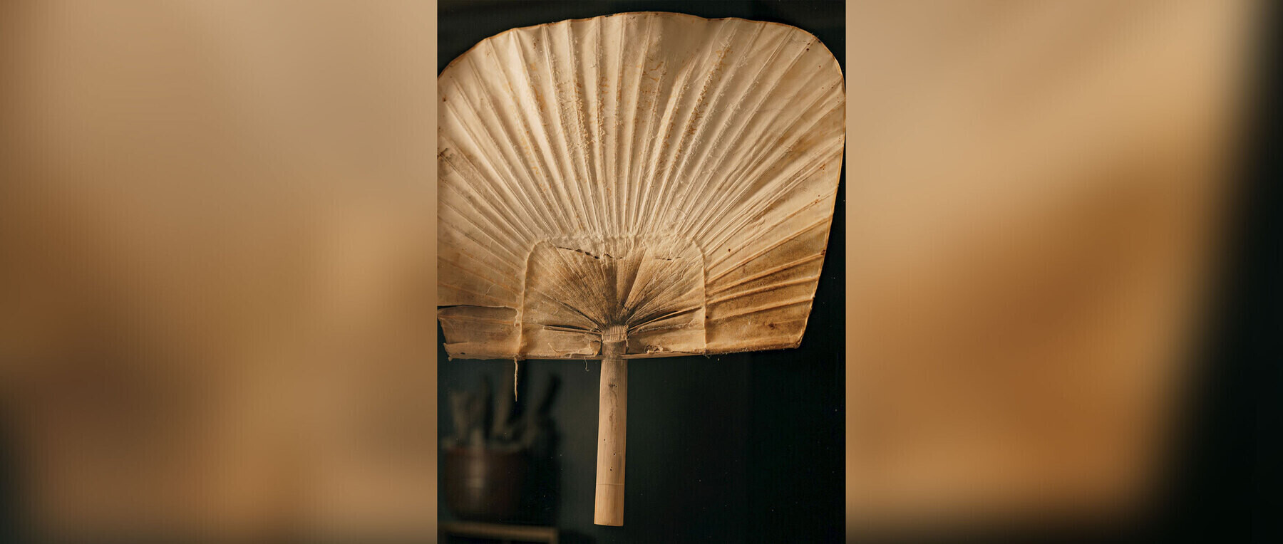 아카사카 히메노's image 3