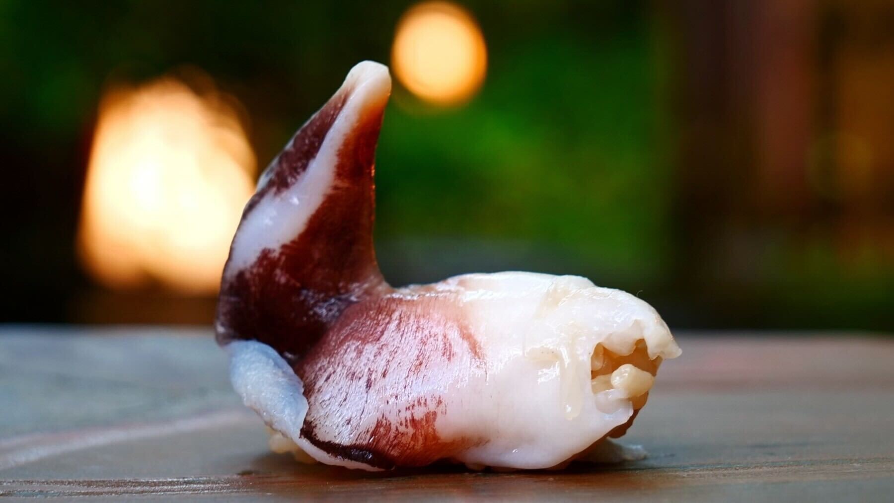 Kyoto Saeki's image 5