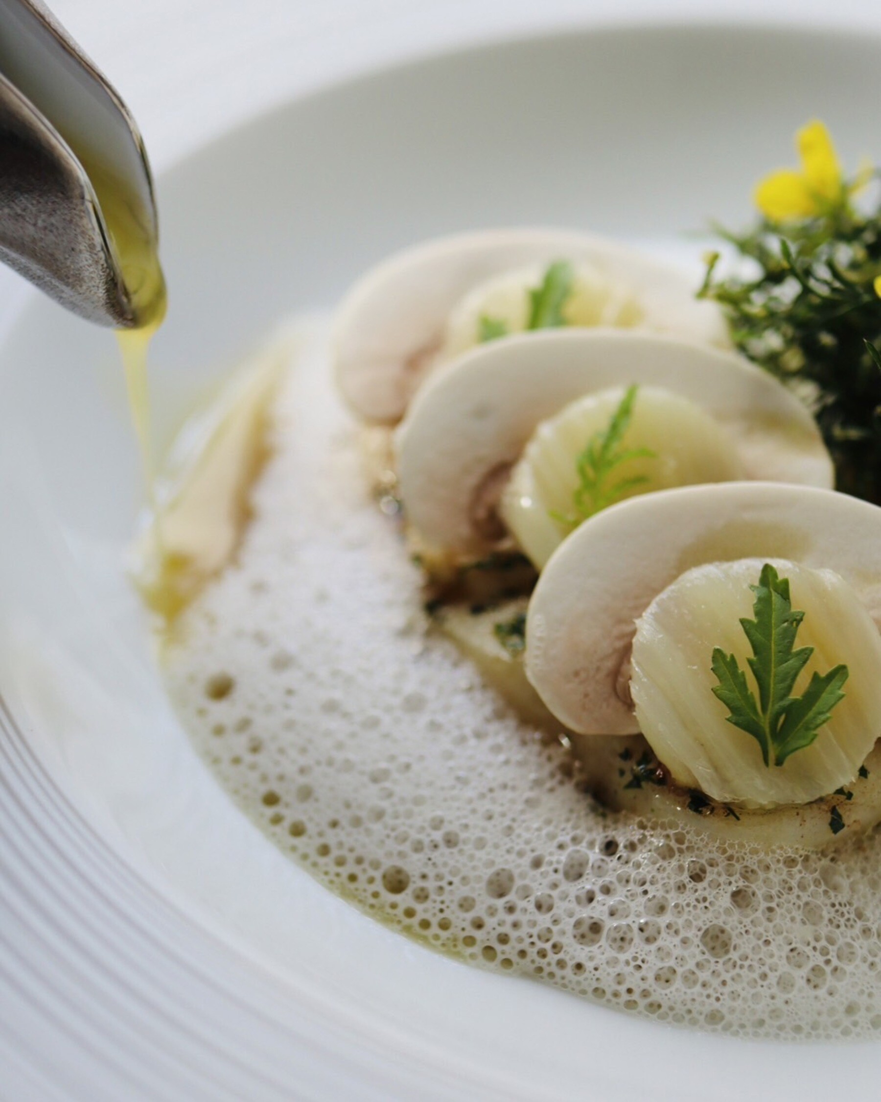 【임시 휴업 중】Restaurant DESTINA's image 5