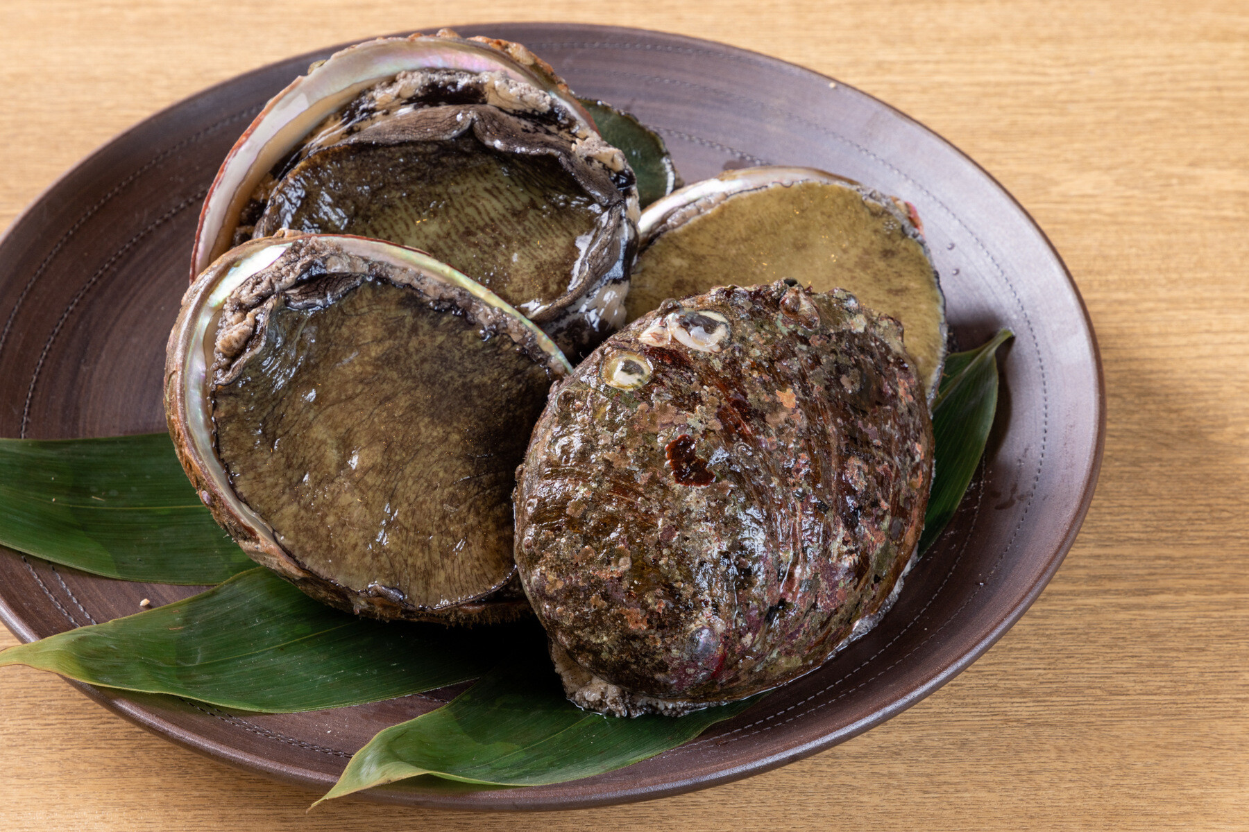 Gokomachi Tagawa's image 9