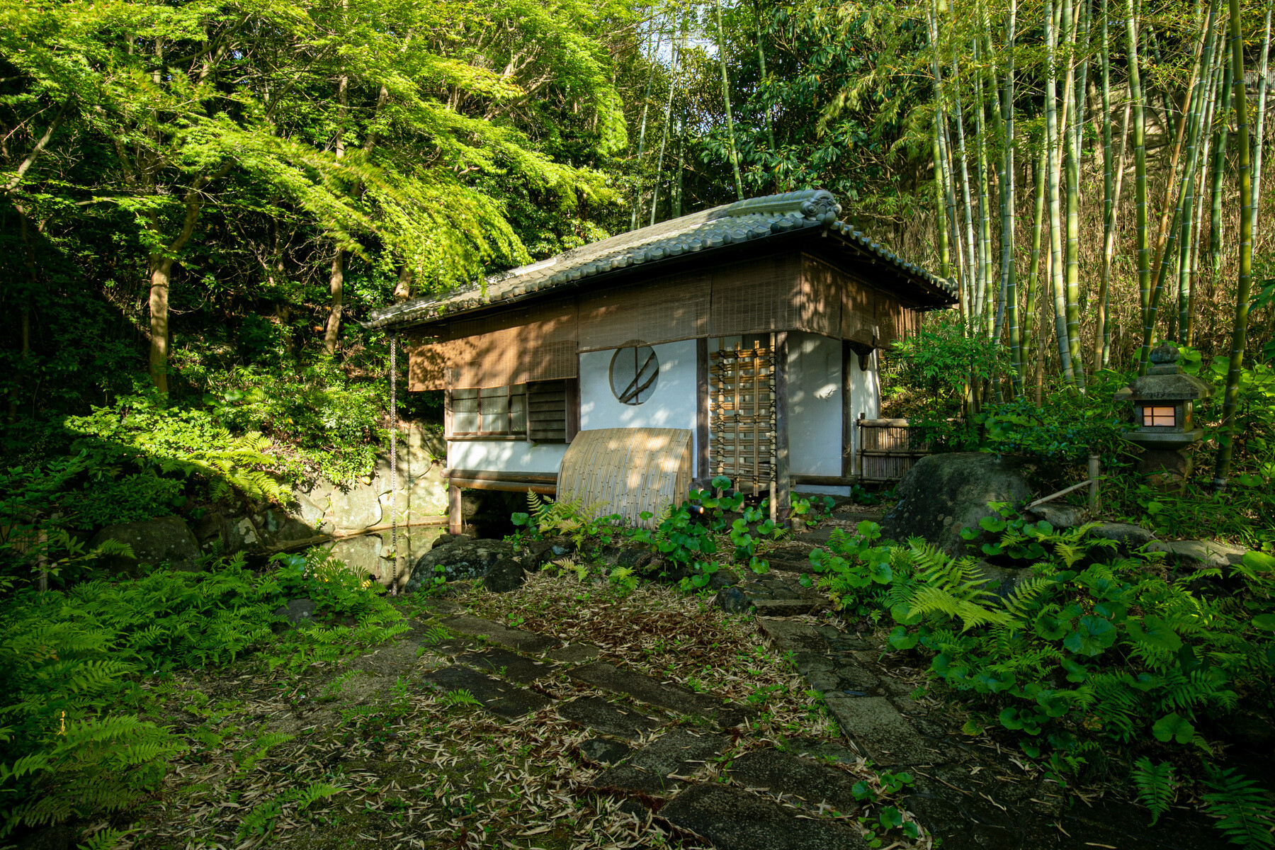 Oryori Hanagaki's image 5