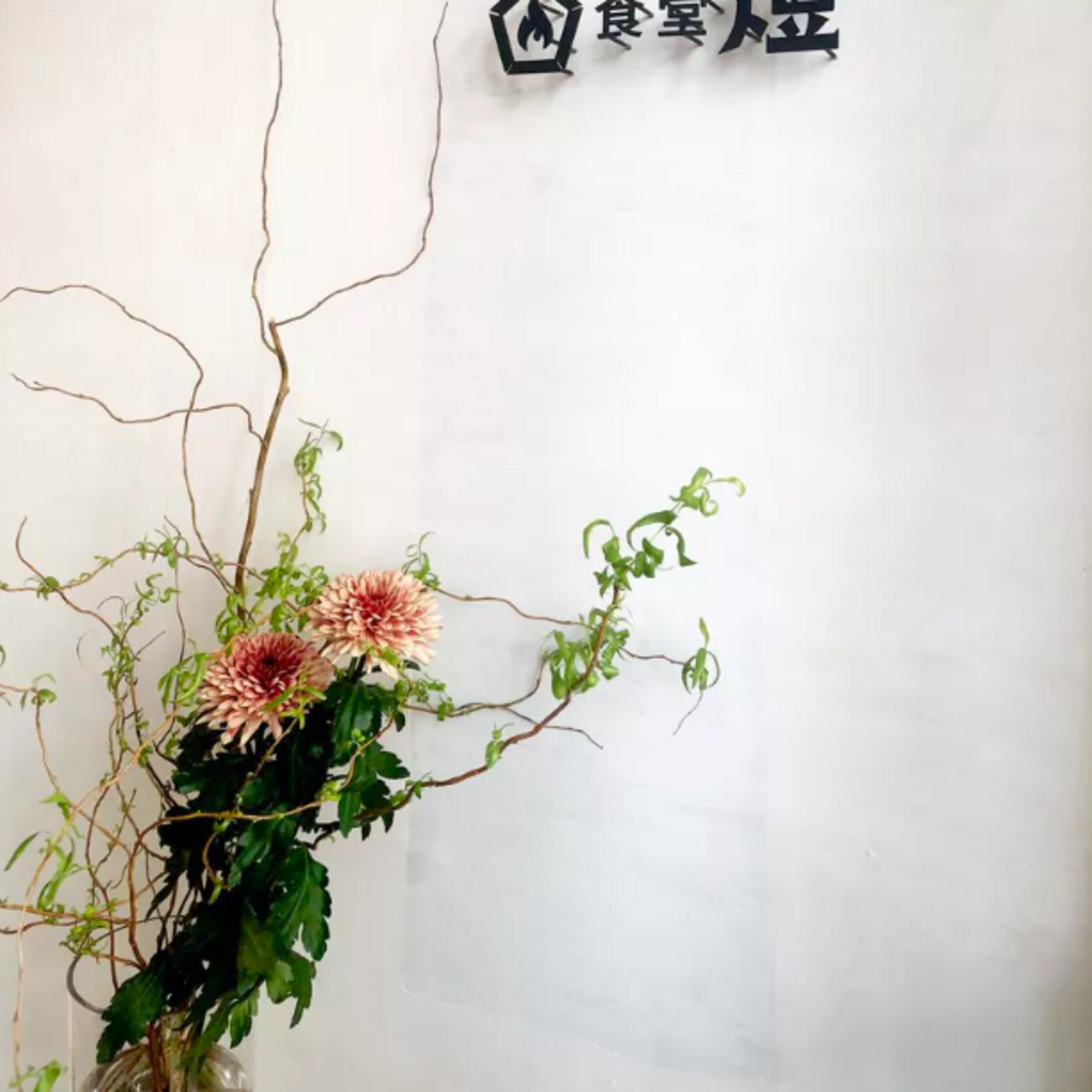 Shokudo Akari's image 4