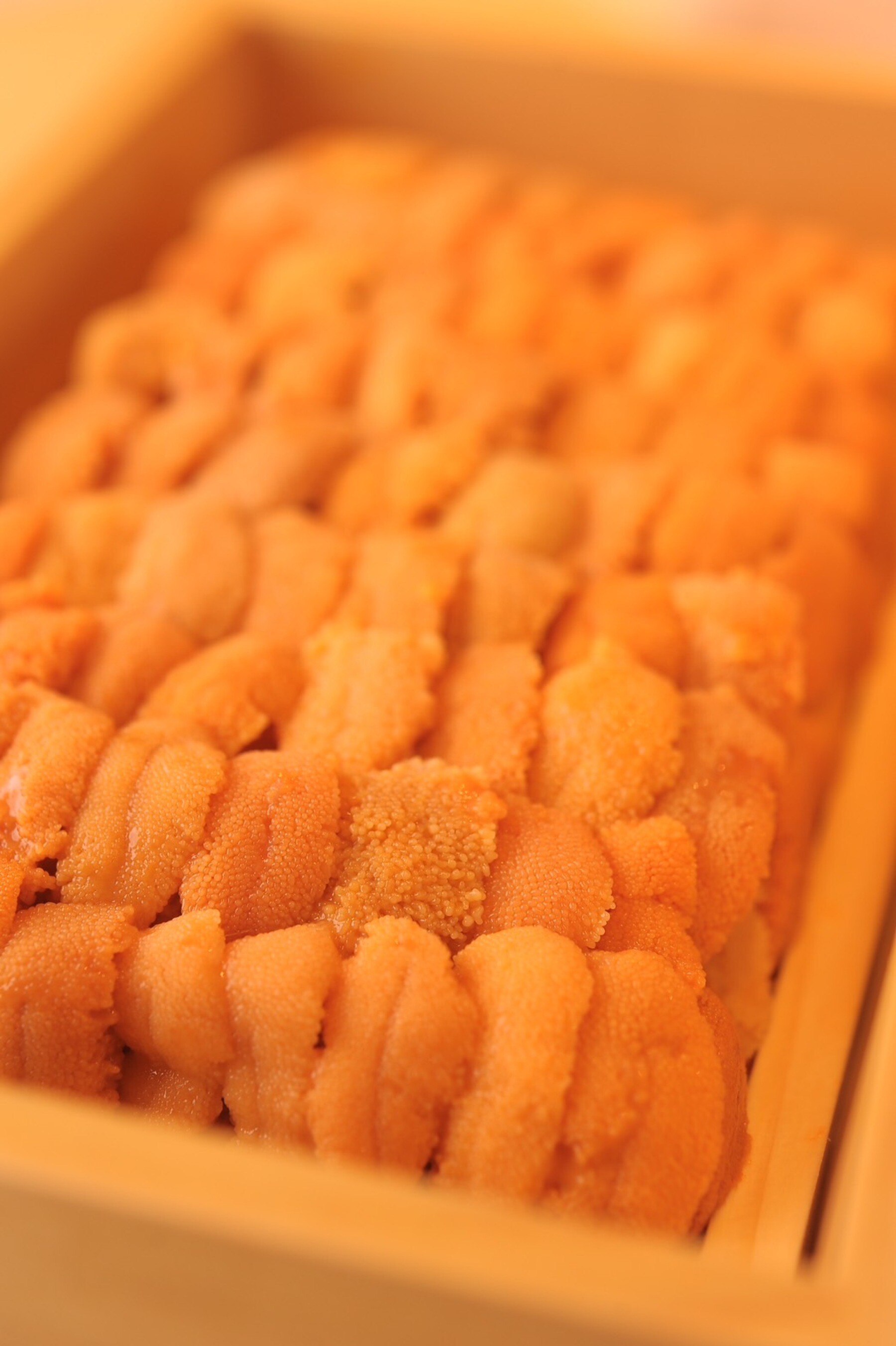 Sushi Miura's image 5