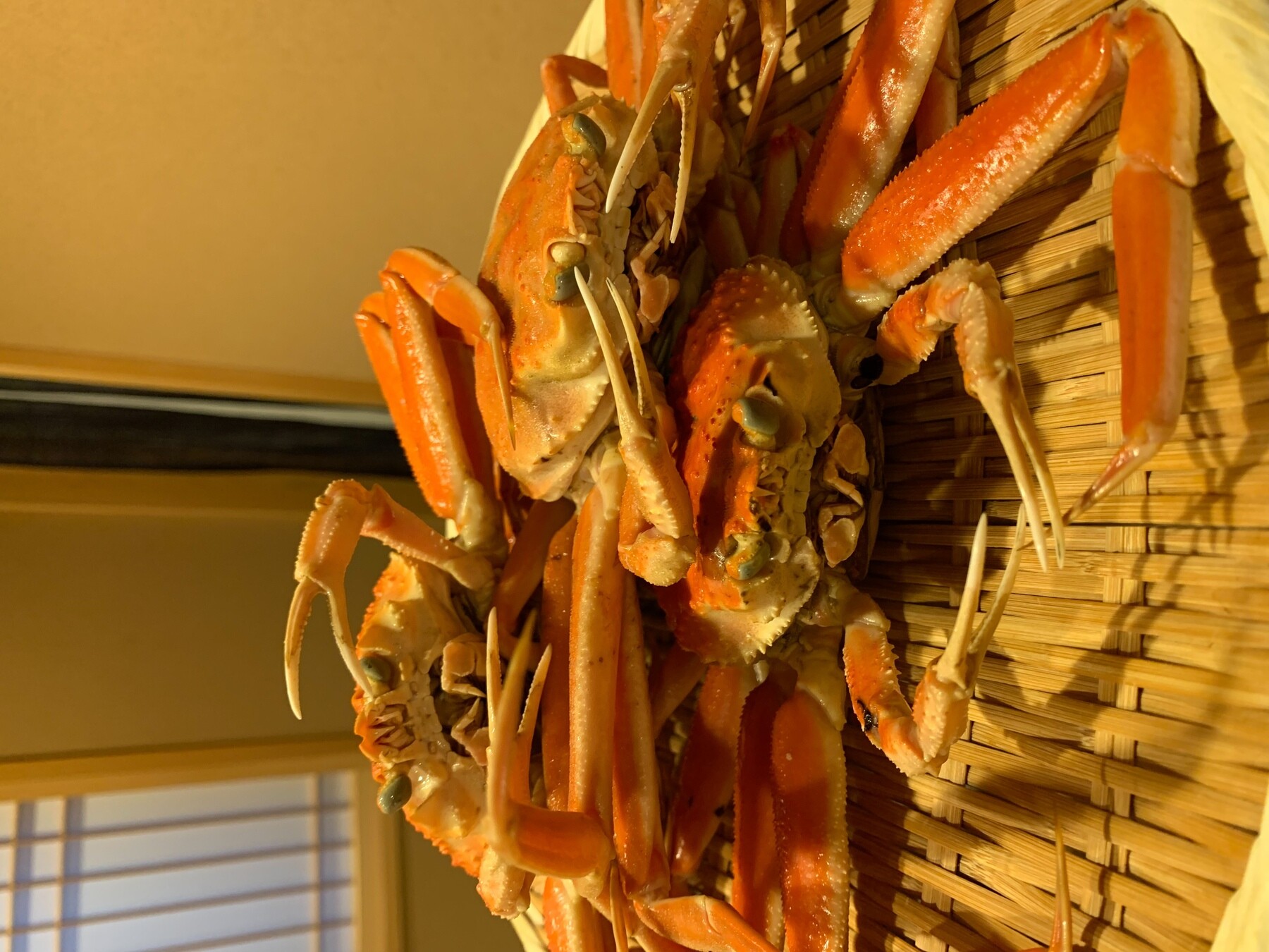 스시 미즈노's image 13