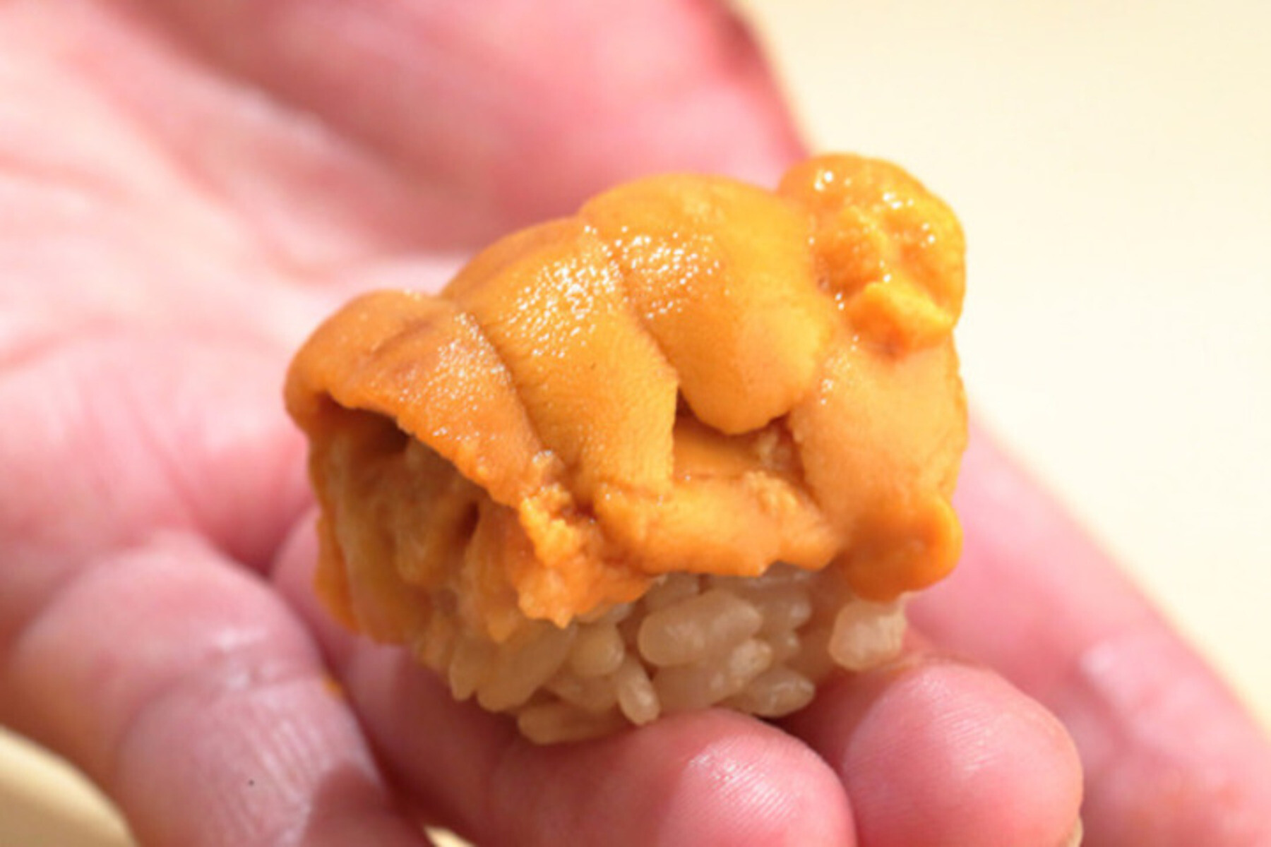 Edomaezushi SushiTsuu's image 1