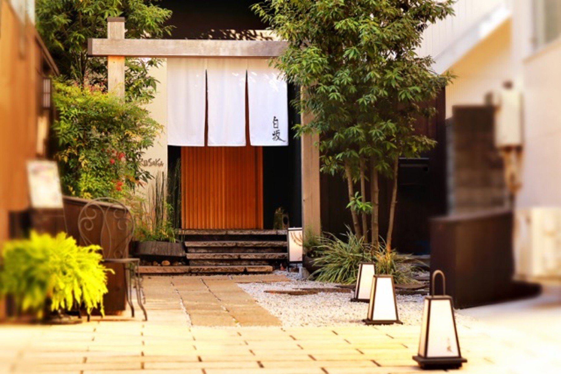 Sumibikappo SHIROSAKA's image 5