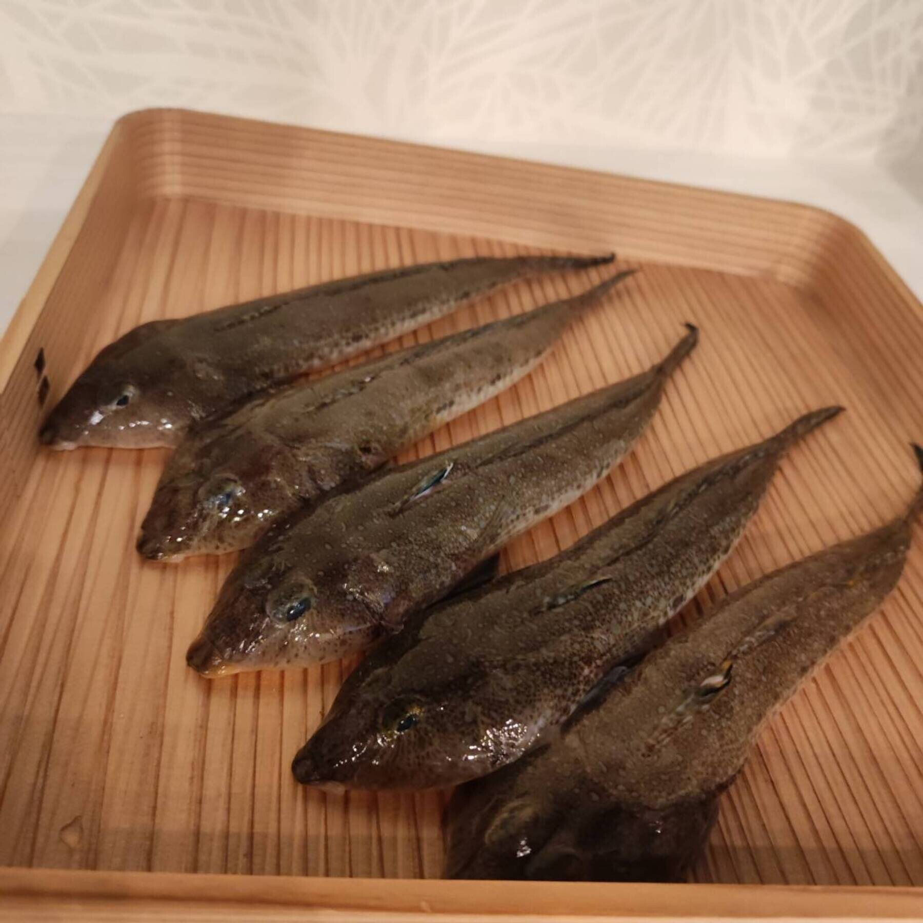 【暫停營業中】天婦羅 拓's image 8