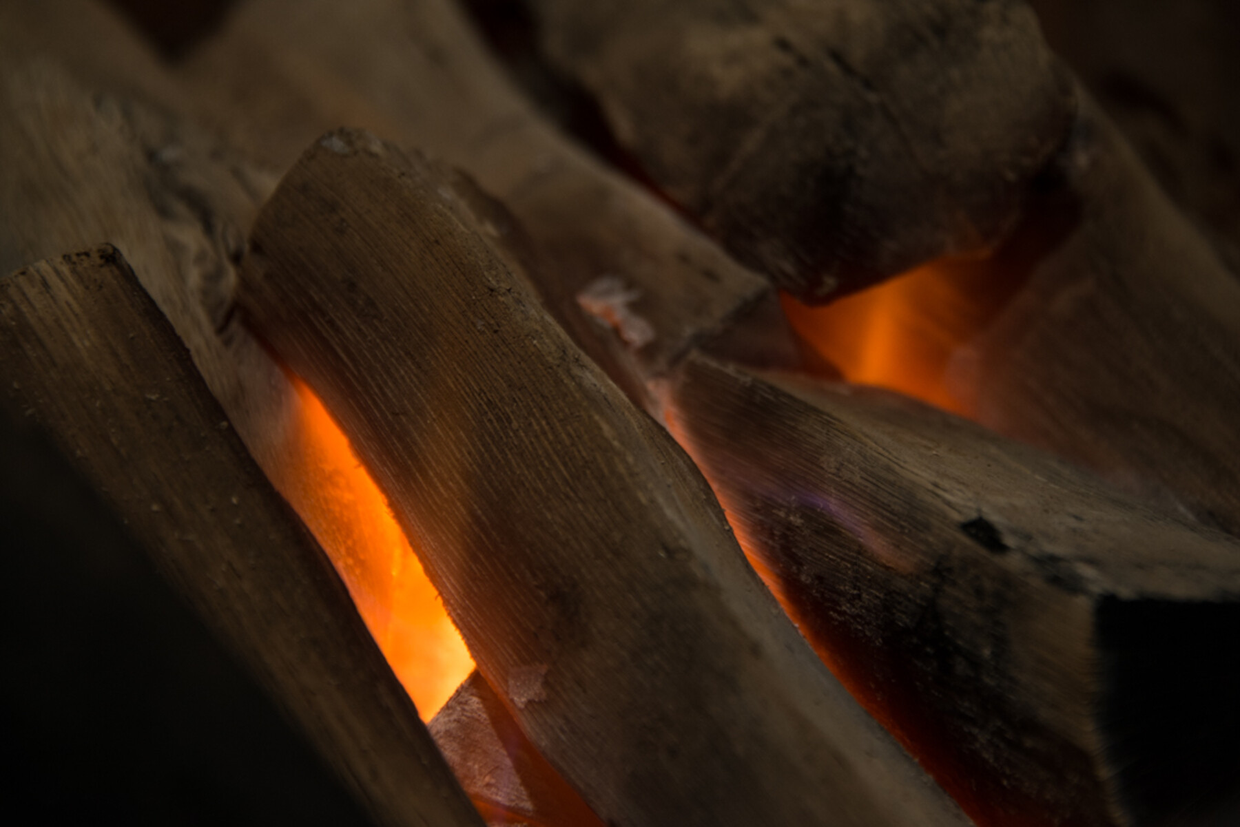 Sumibikappo SHIROSAKA's image 9