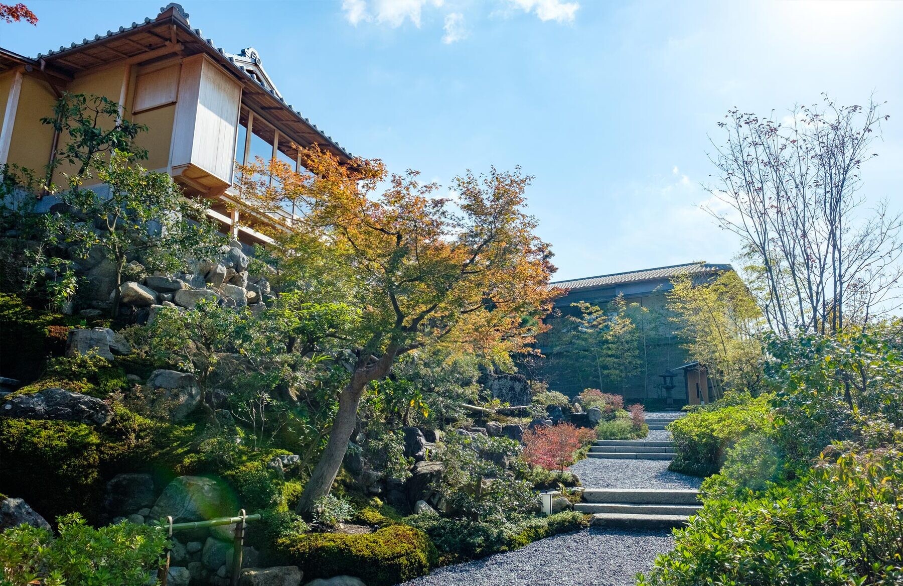 京大和's image 10