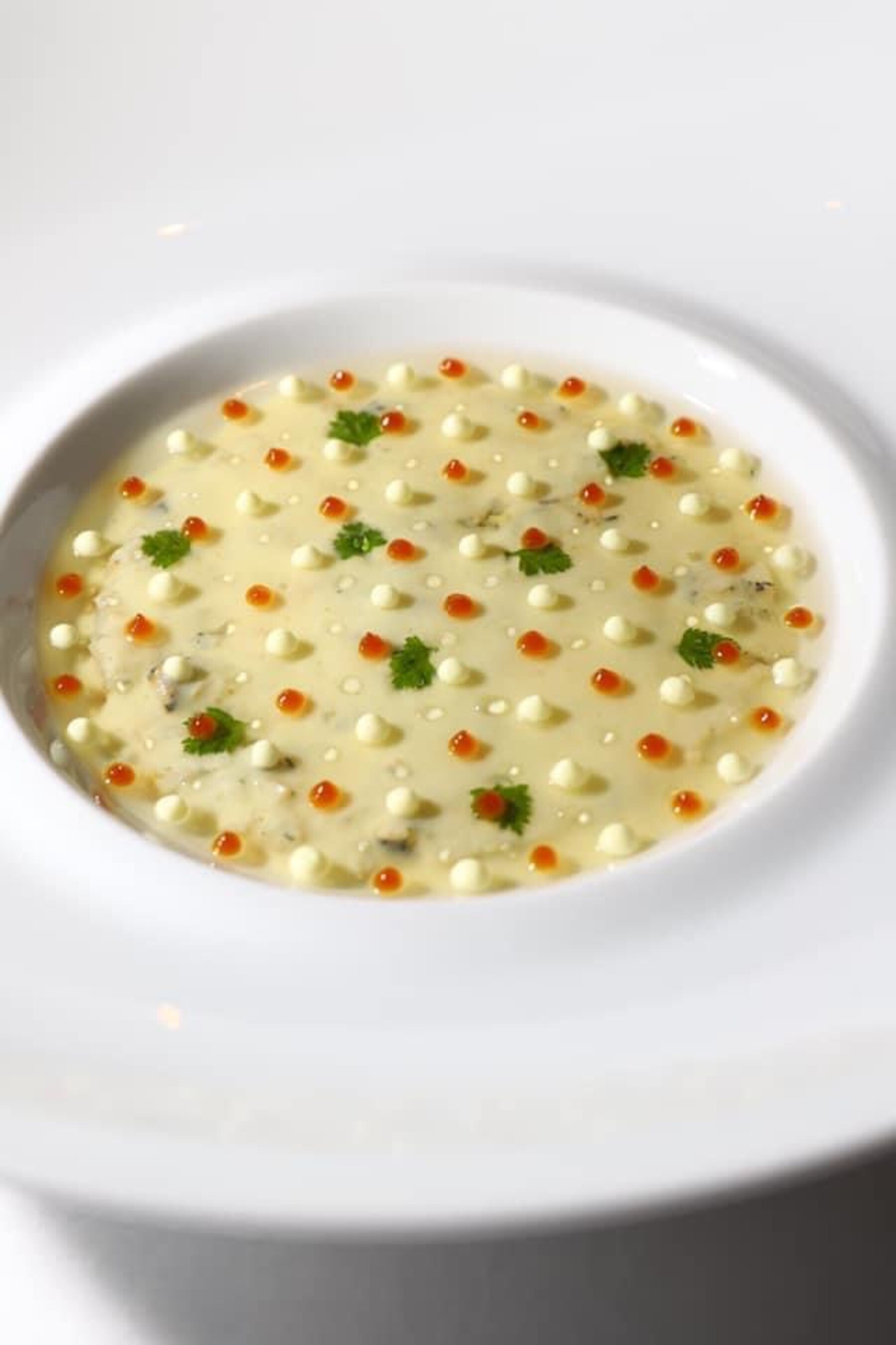 라 비오그래피's image 3