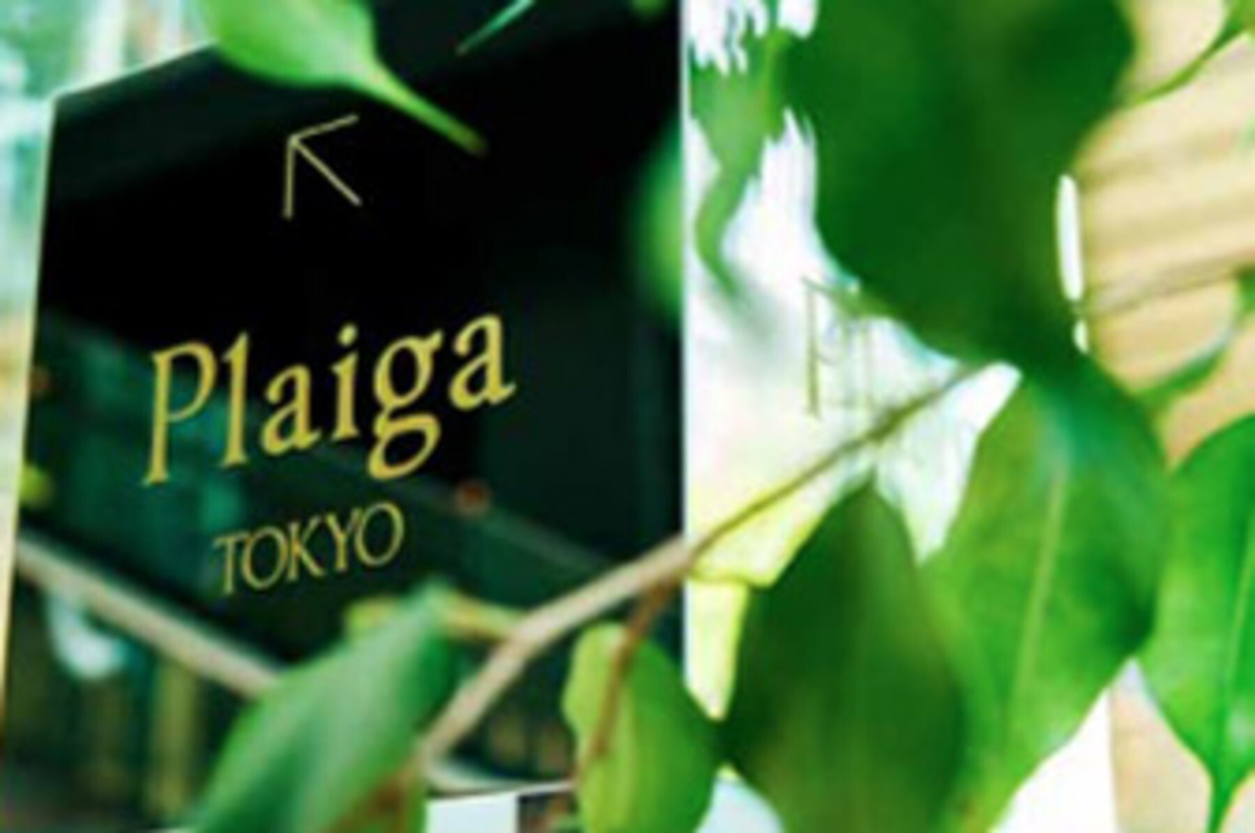 플레가 도쿄's image 3