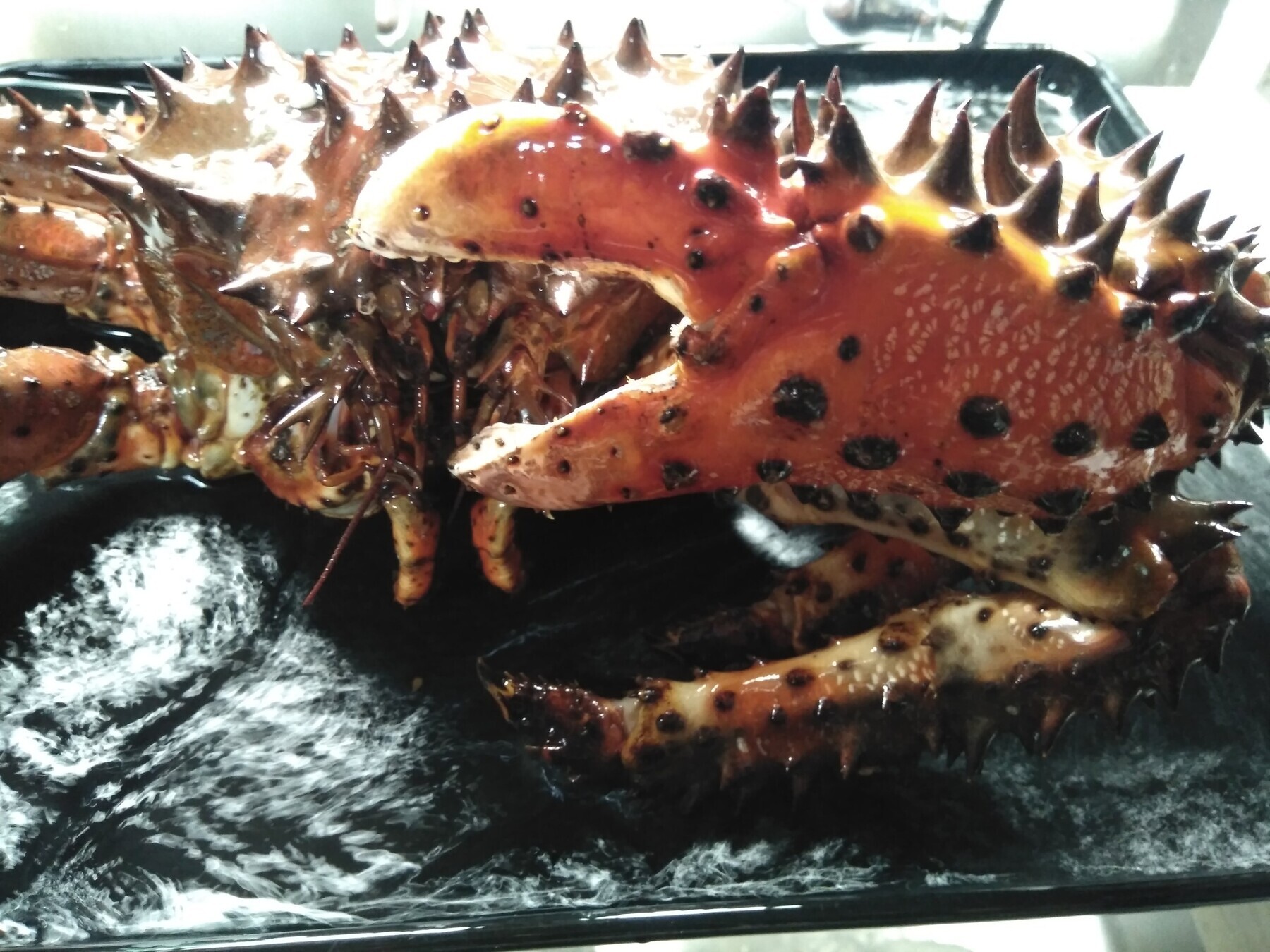 요리야 소's image 7