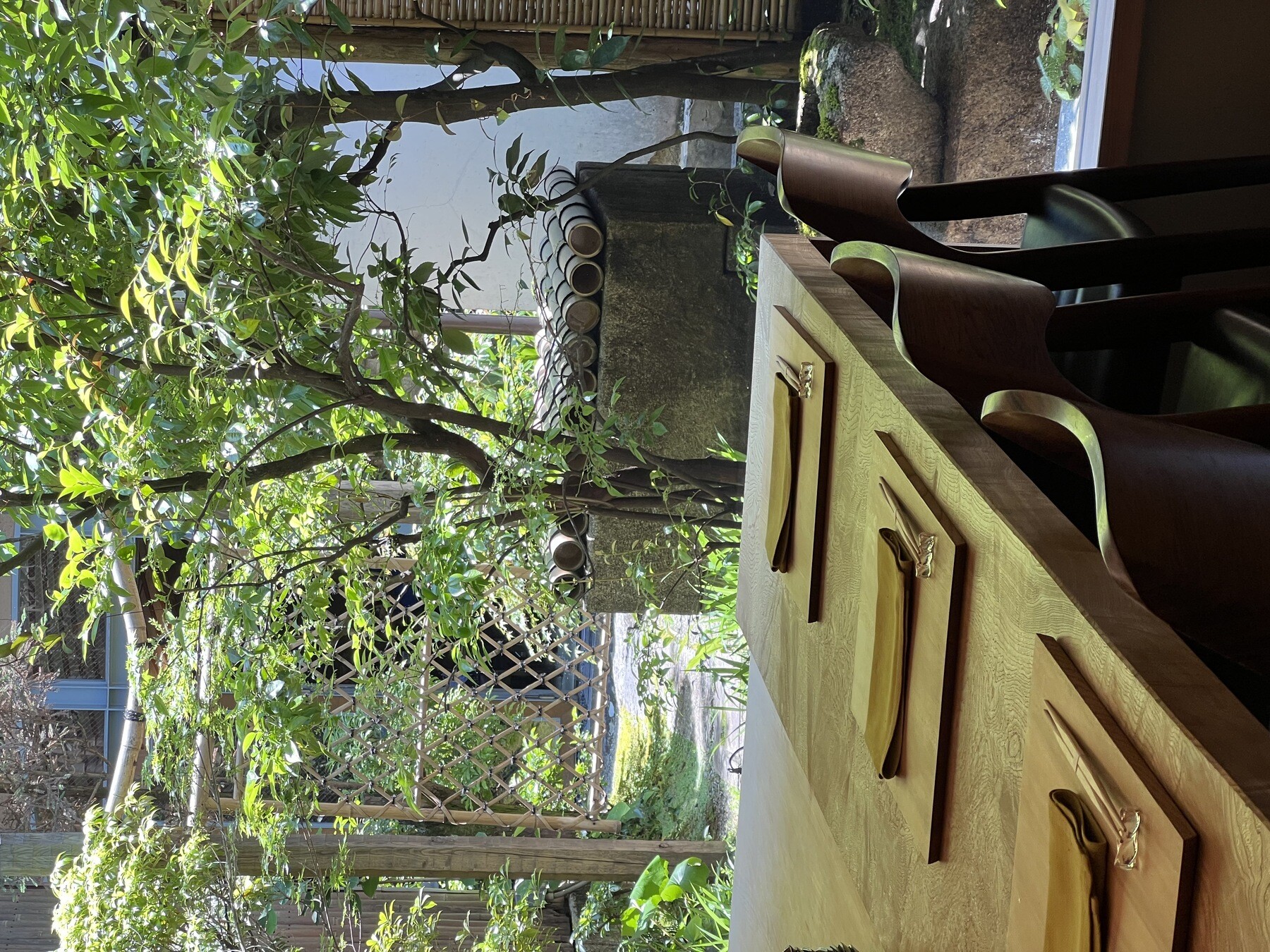 Enyuan Kobayashi's image 3