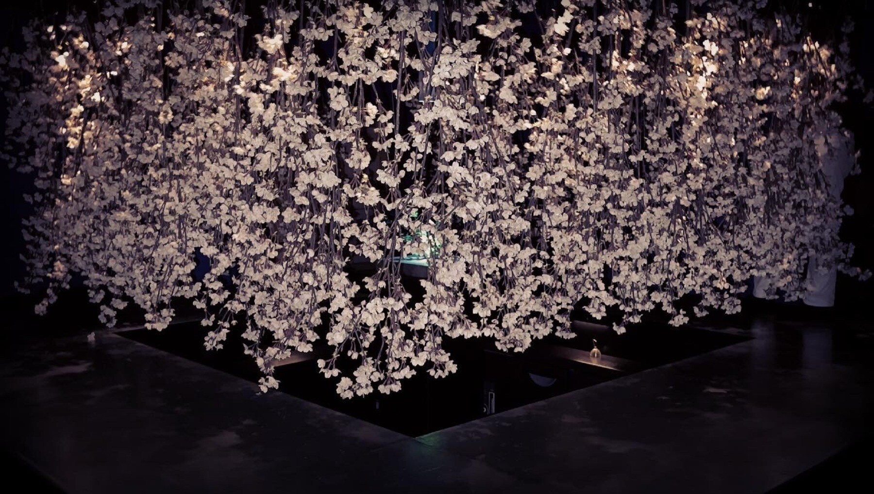 사케바로 나카메구로점's image 11