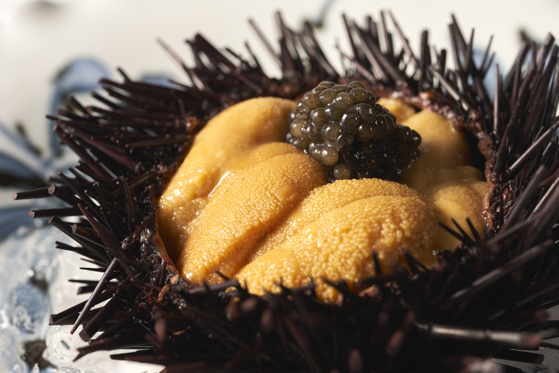 Teppanyaki Iwakura's image 4