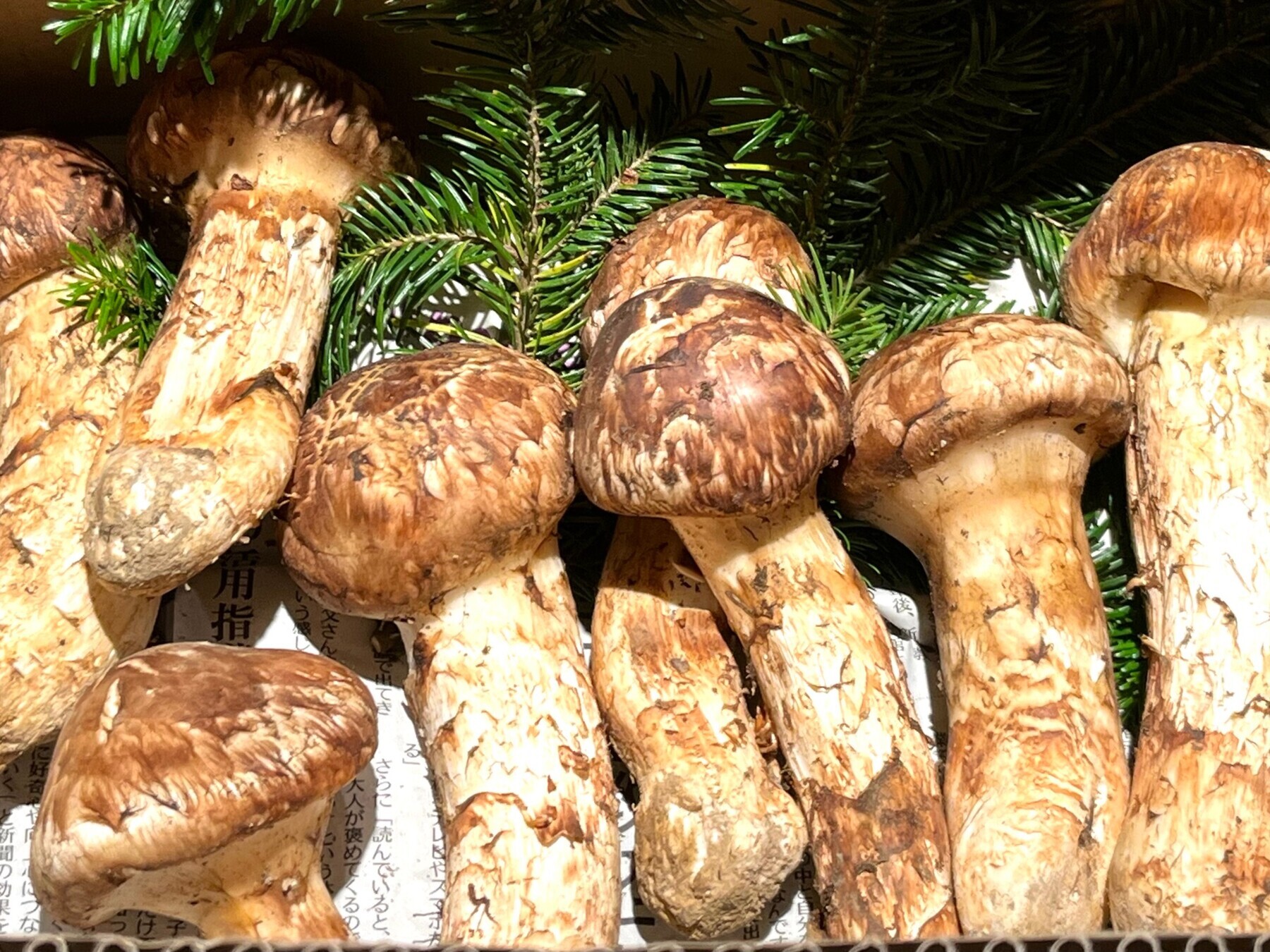 三德六味's image 2