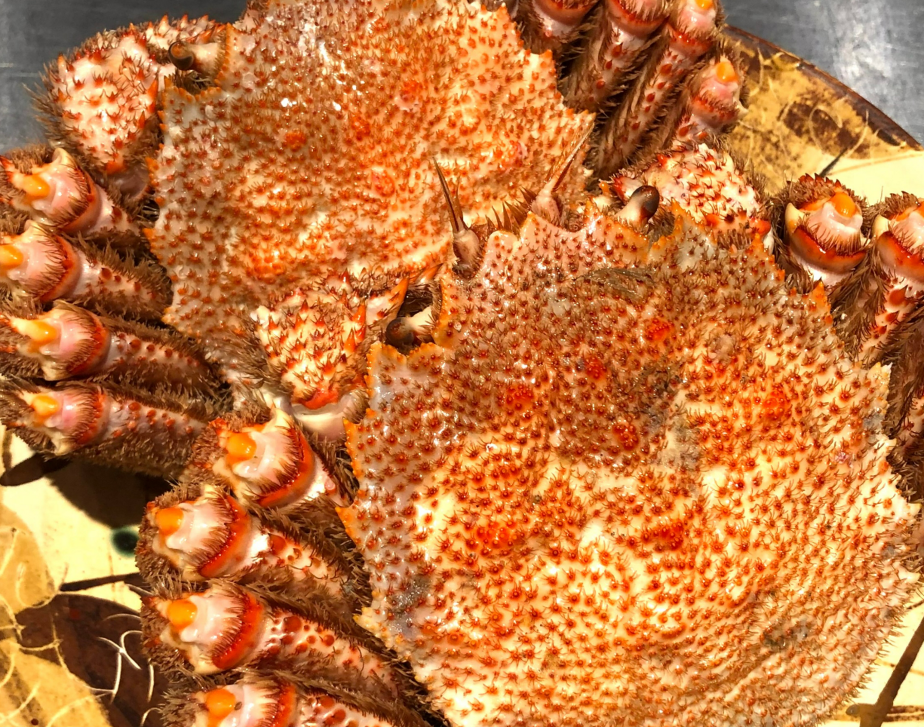 三德六味's image 5