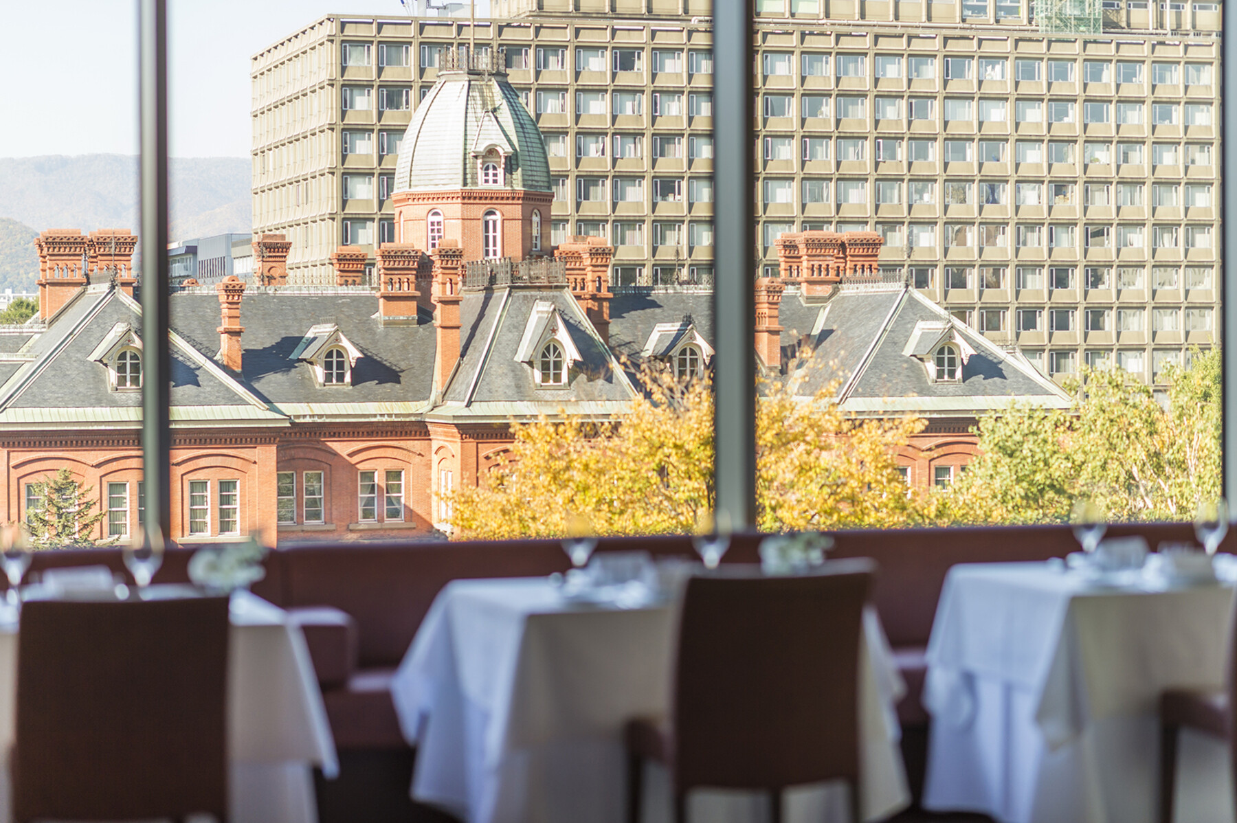 레스토랑 미나미's image 8