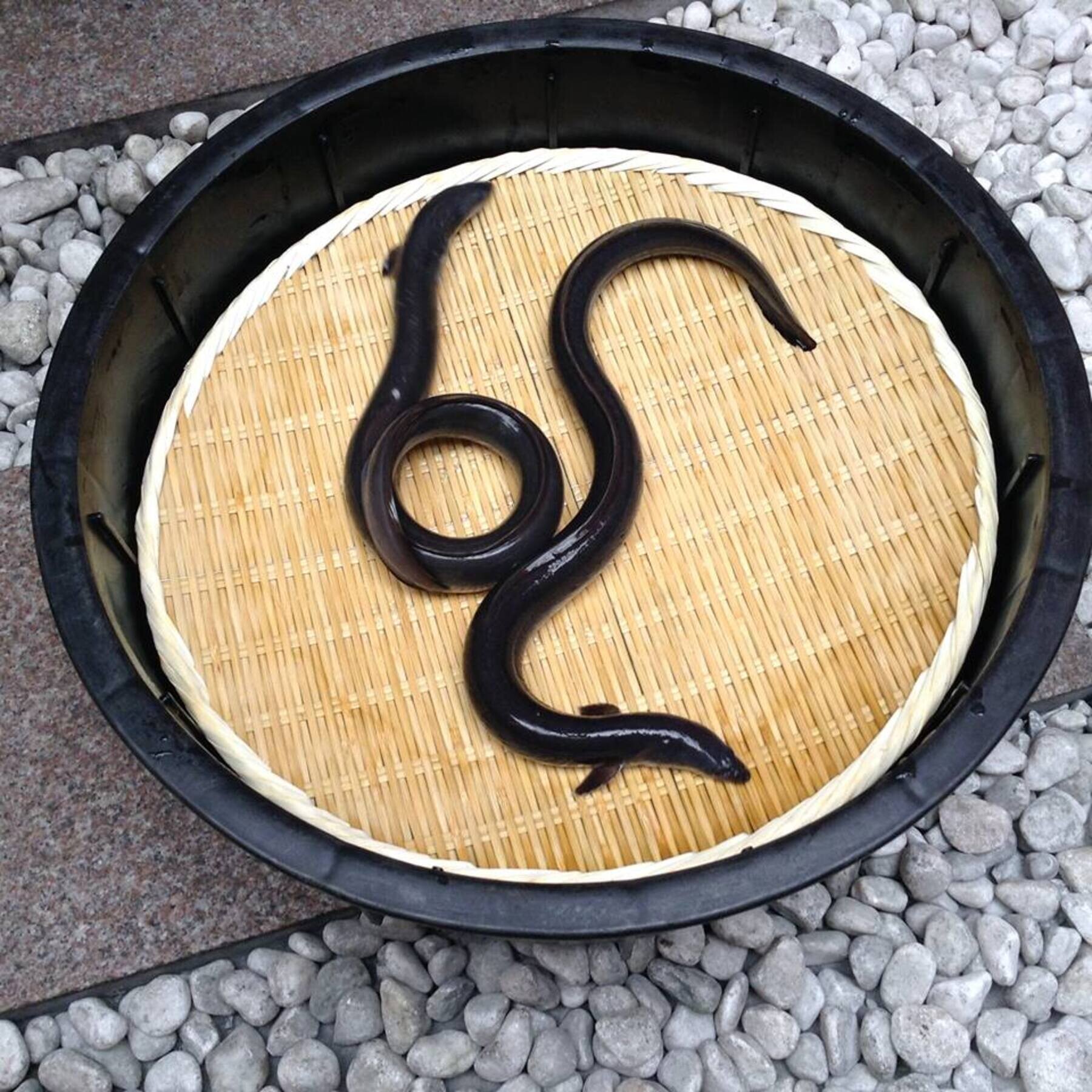 Nodaya Iriya-Kishimojin Tokyo's image 2