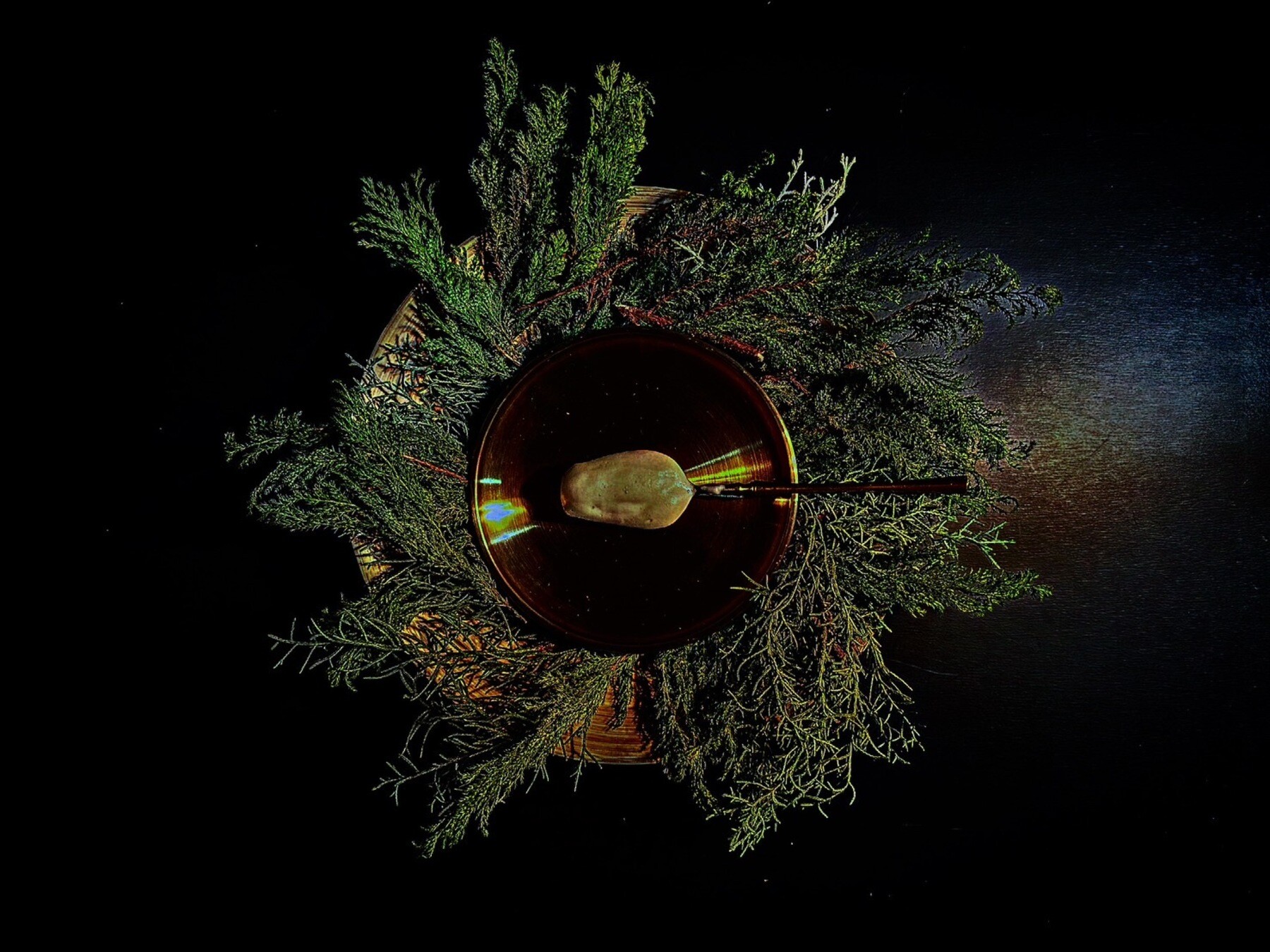 HIGASHITANI's image 5