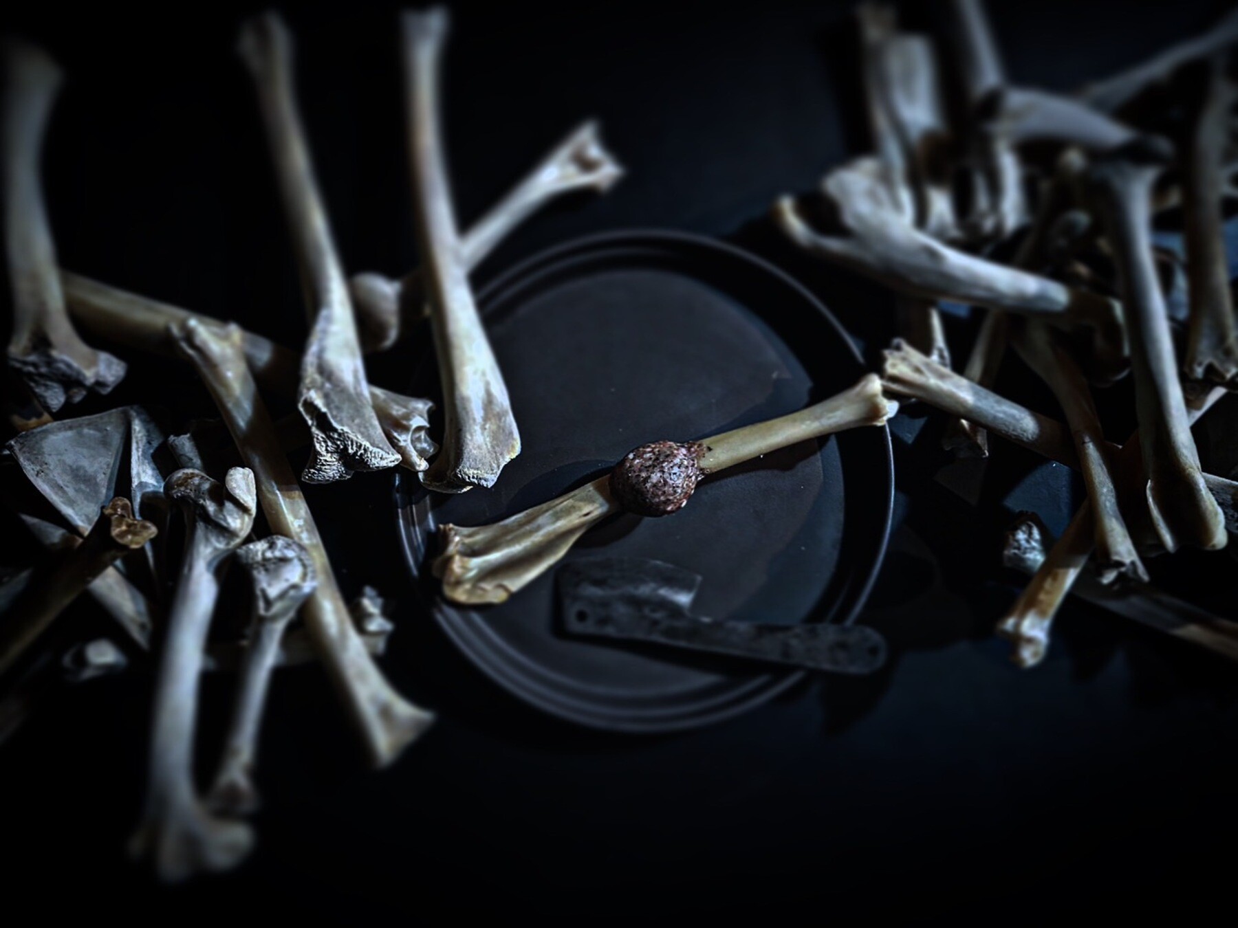 HIGASHITANI's image 7