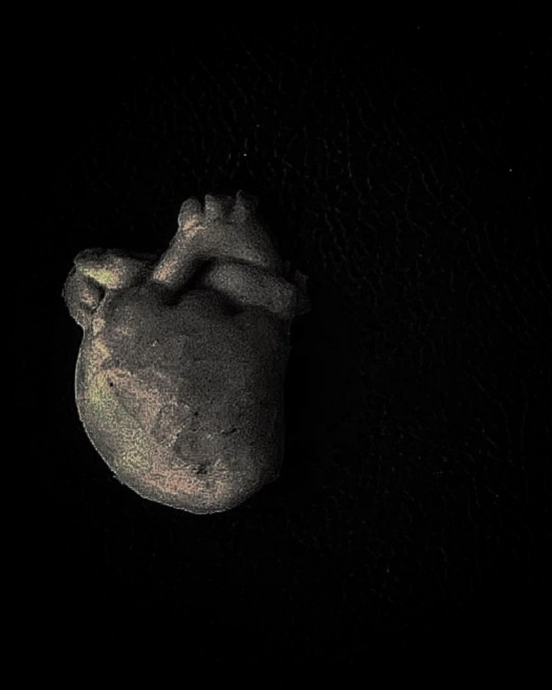 HIGASHITANI's image 8