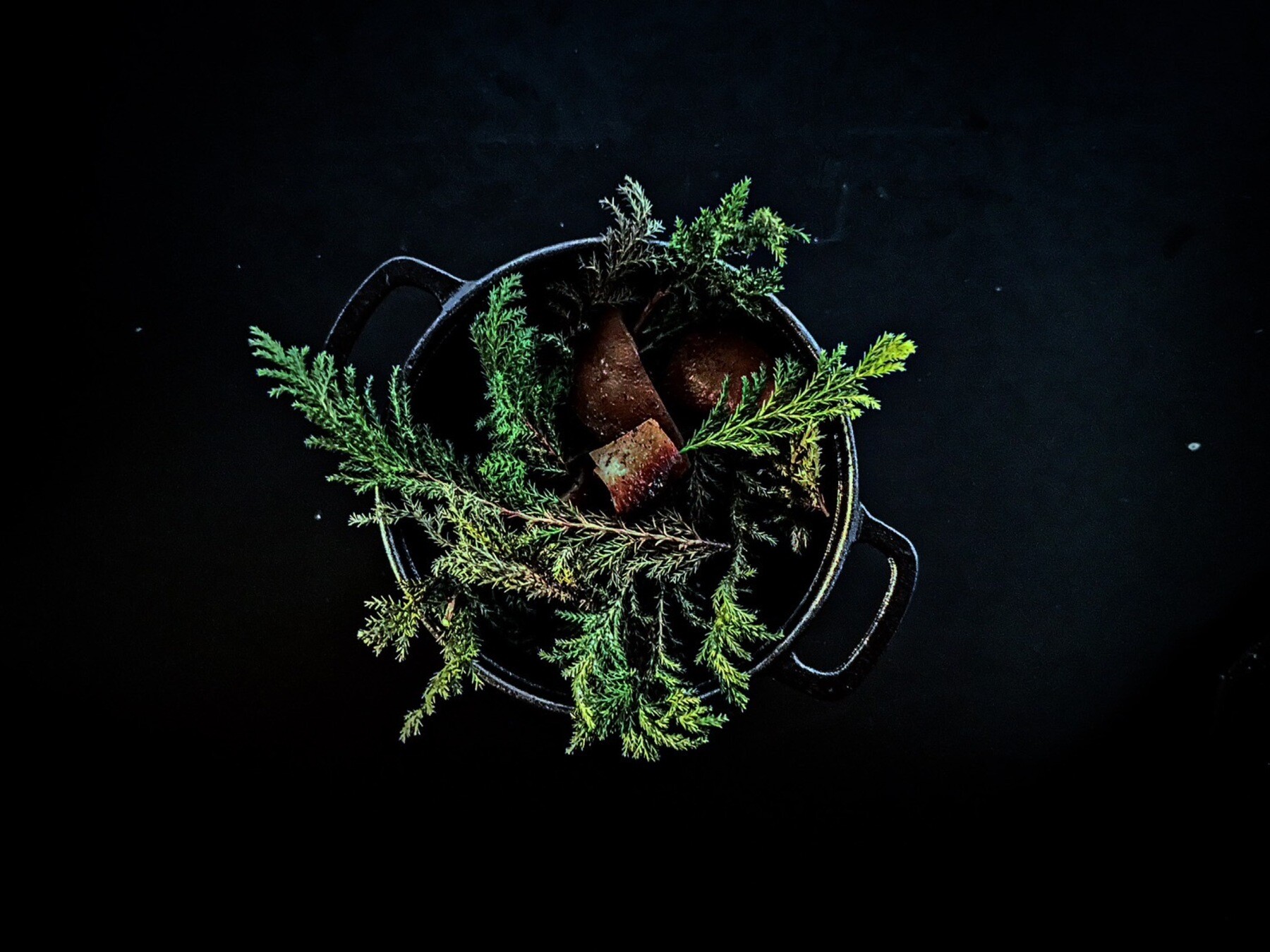 HIGASHITANI's image 1