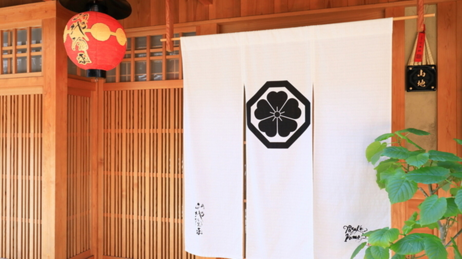 Yosuke YAMAJI's image 1