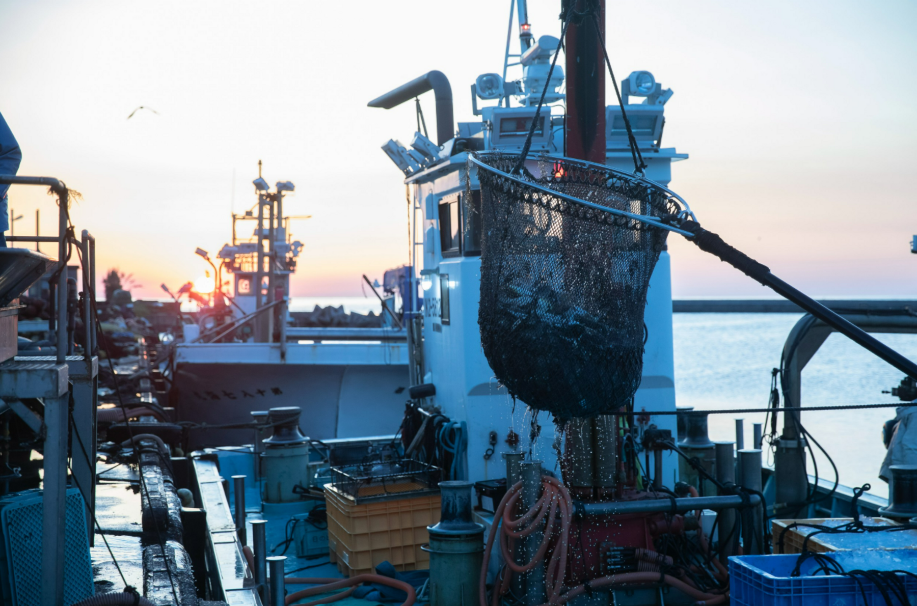 Tachiguisushi Yusho's image 2