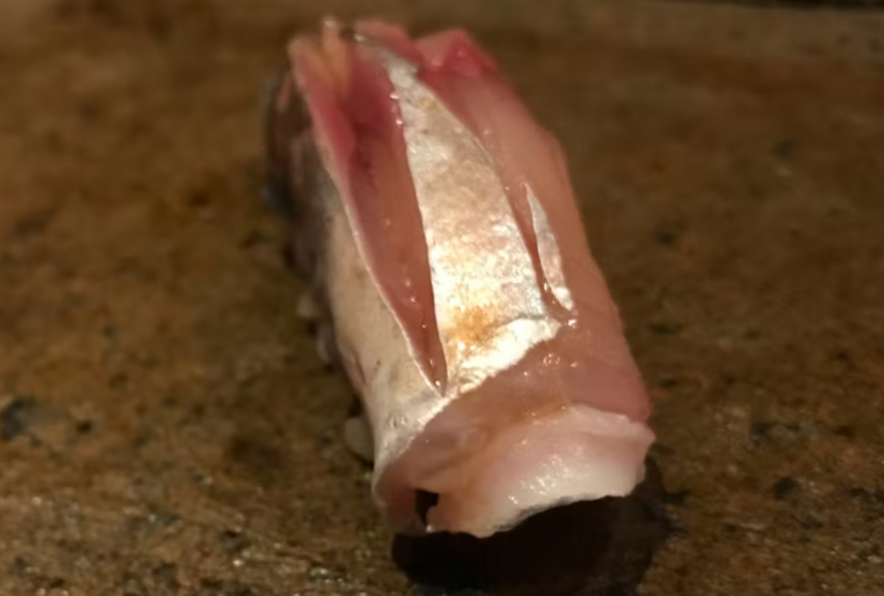 Sushi Kubota's image 4