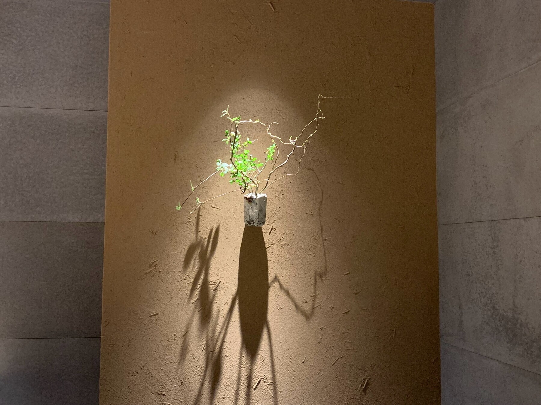 Sushi Tamon's image 3