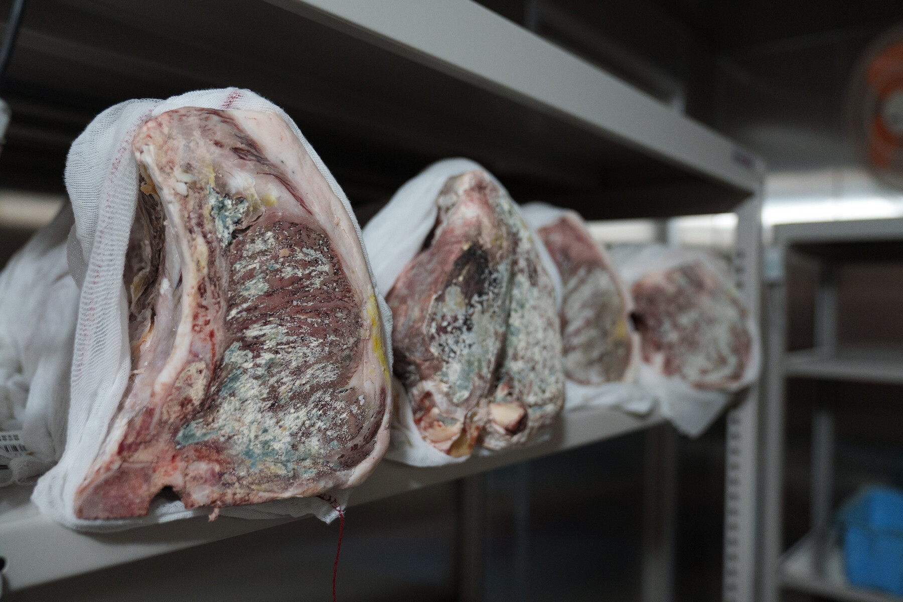 AKAMIYA COWSI's image 3