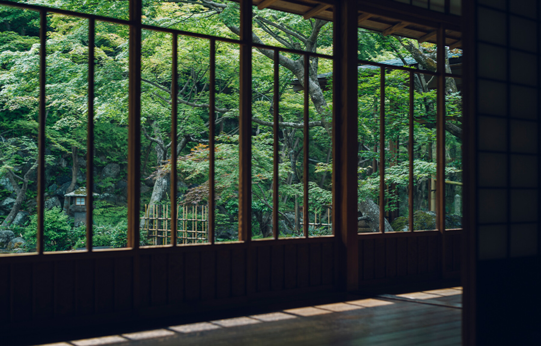 고다이지 주규안's image 13