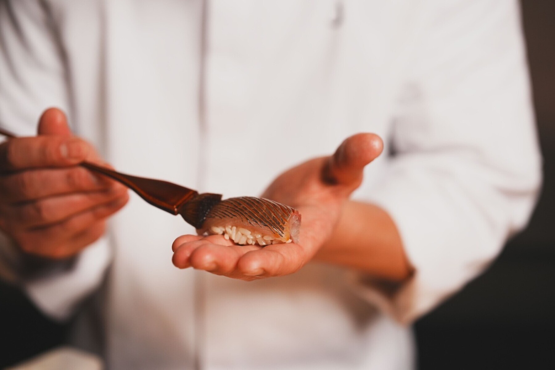 스시 히지리's image 3