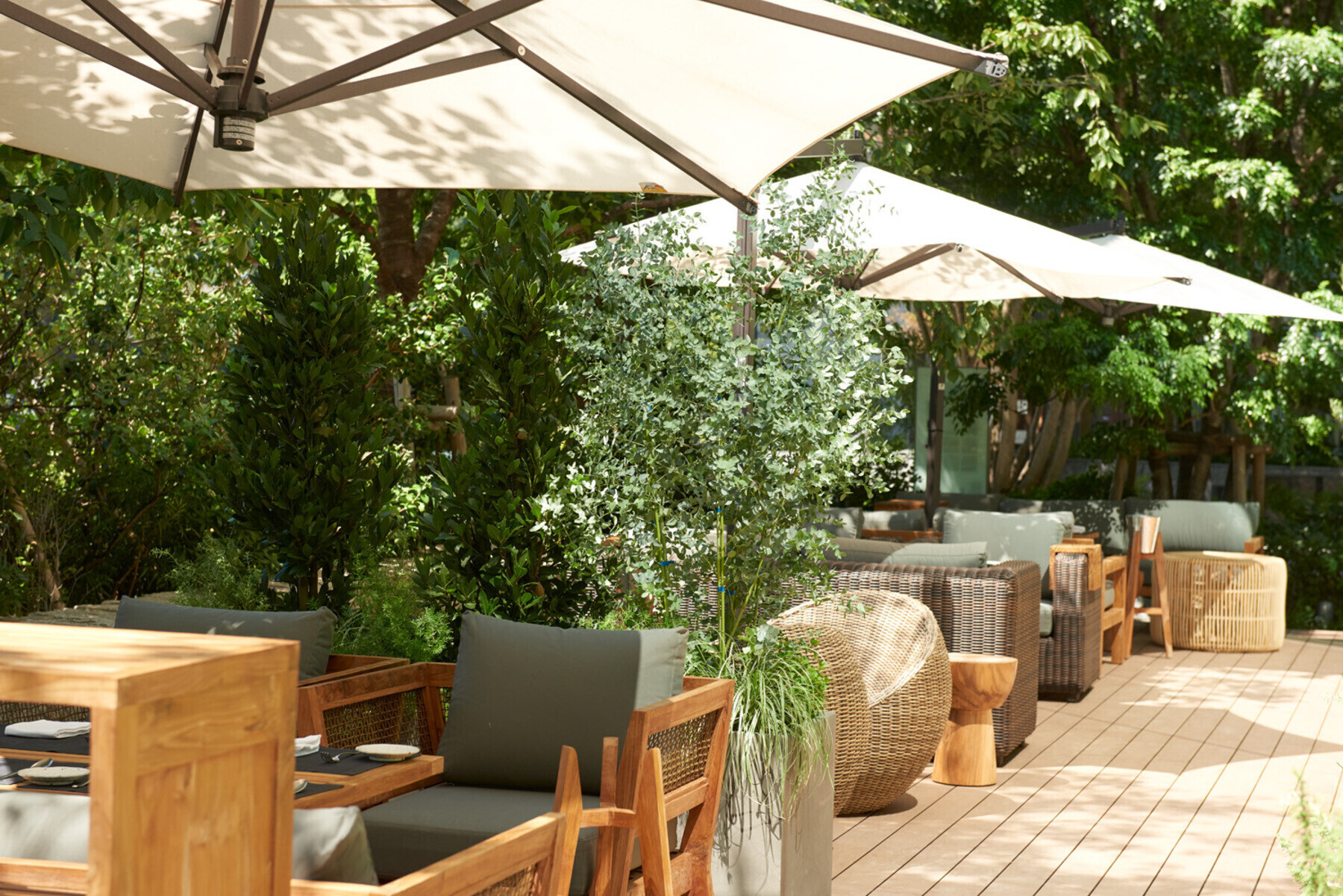 TRATTORIA CREATTA's image 3